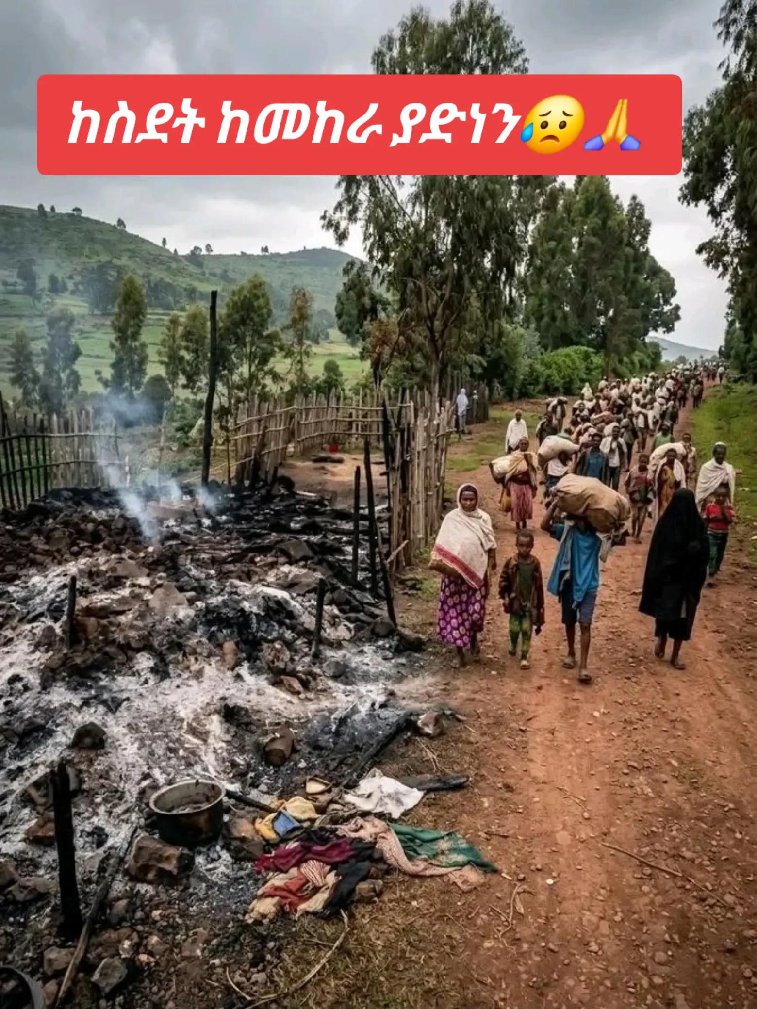 @bini ሐረር