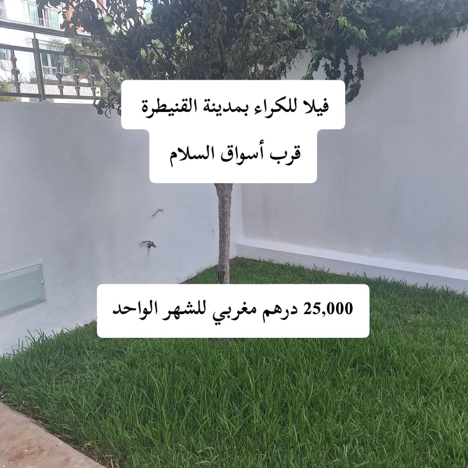 @eljanati.immobilier