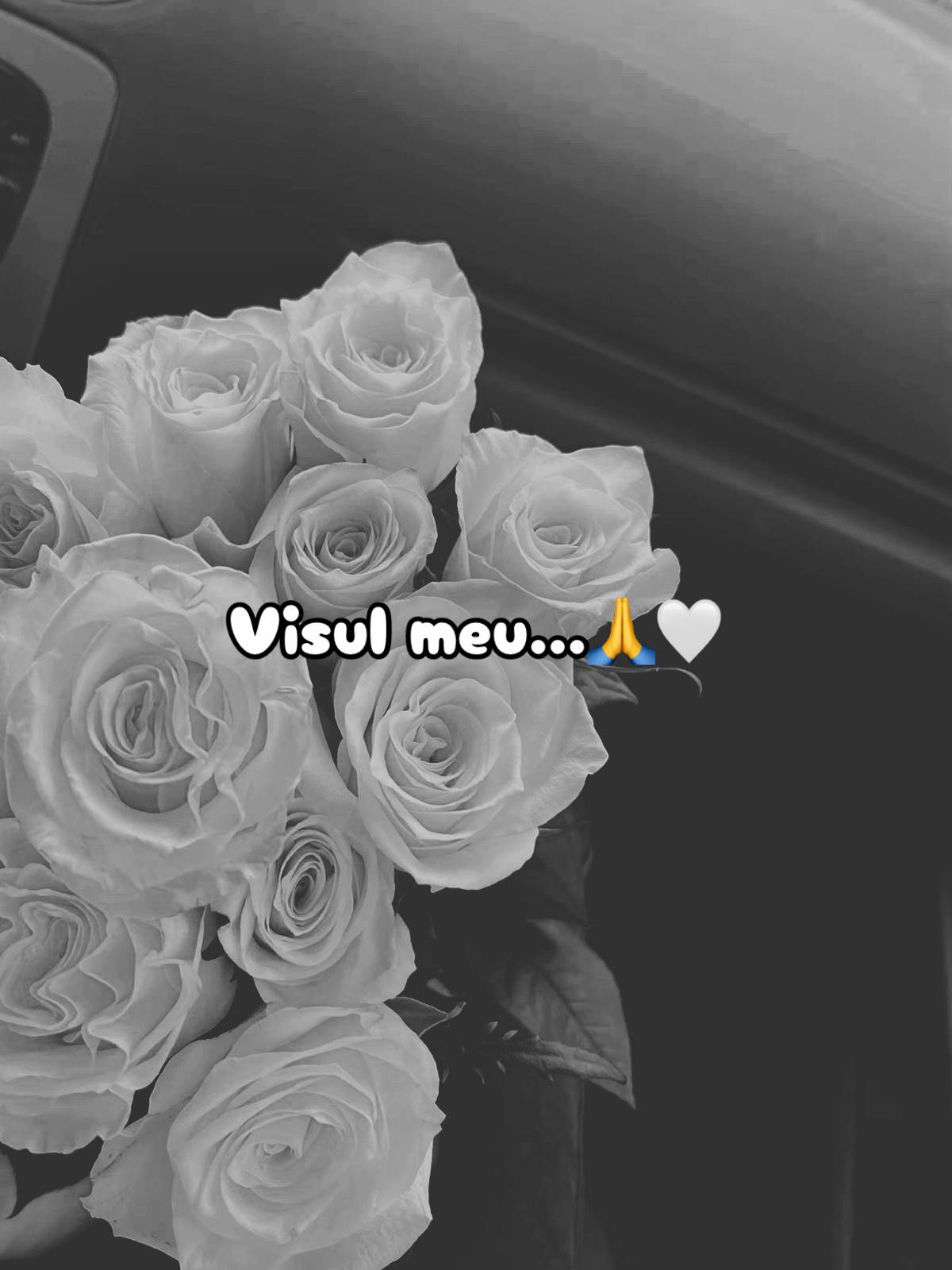 @๐๐๐น๐โฏโฏ๐ถ๐ผ๐ง