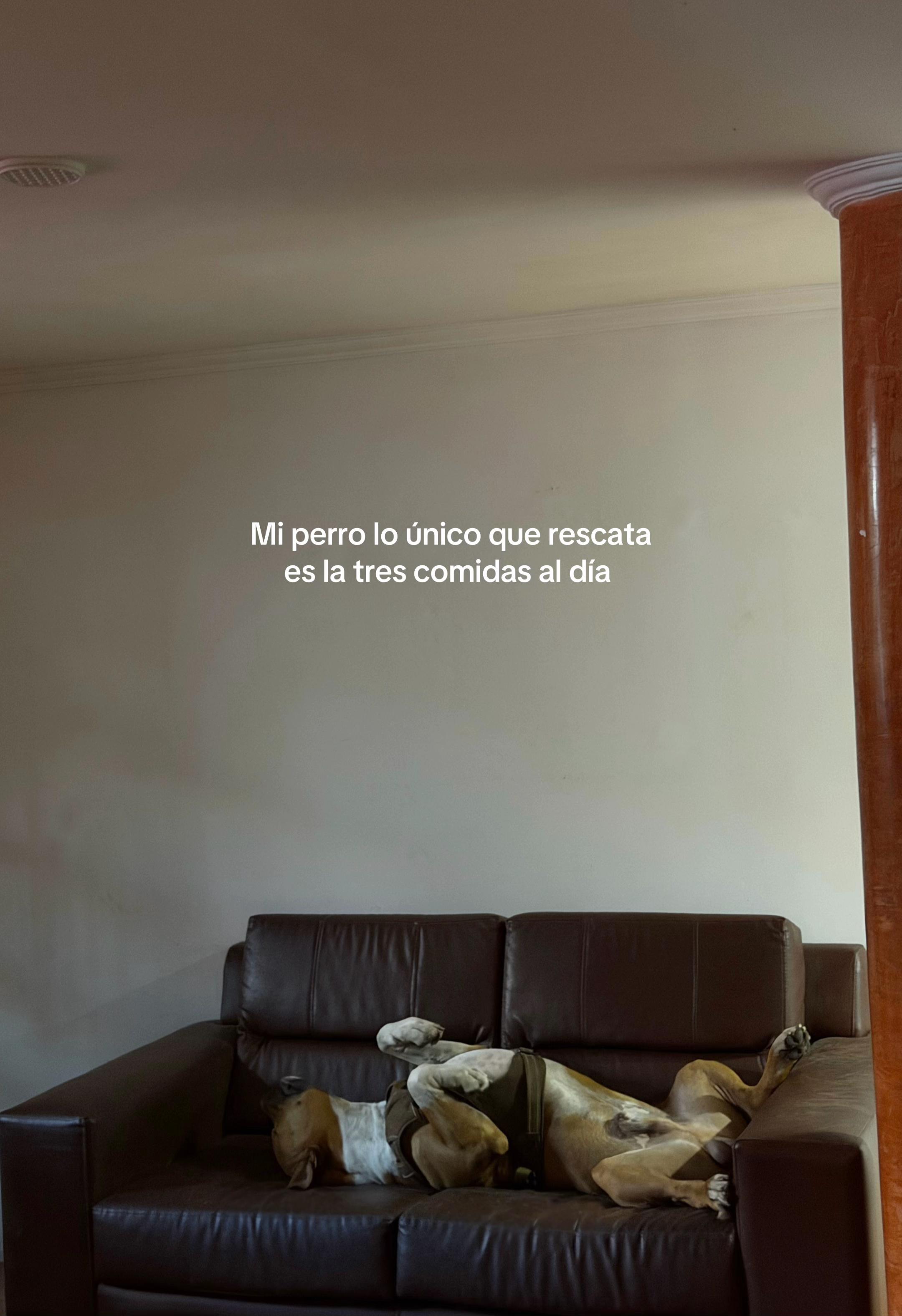 @Nery Franquiz