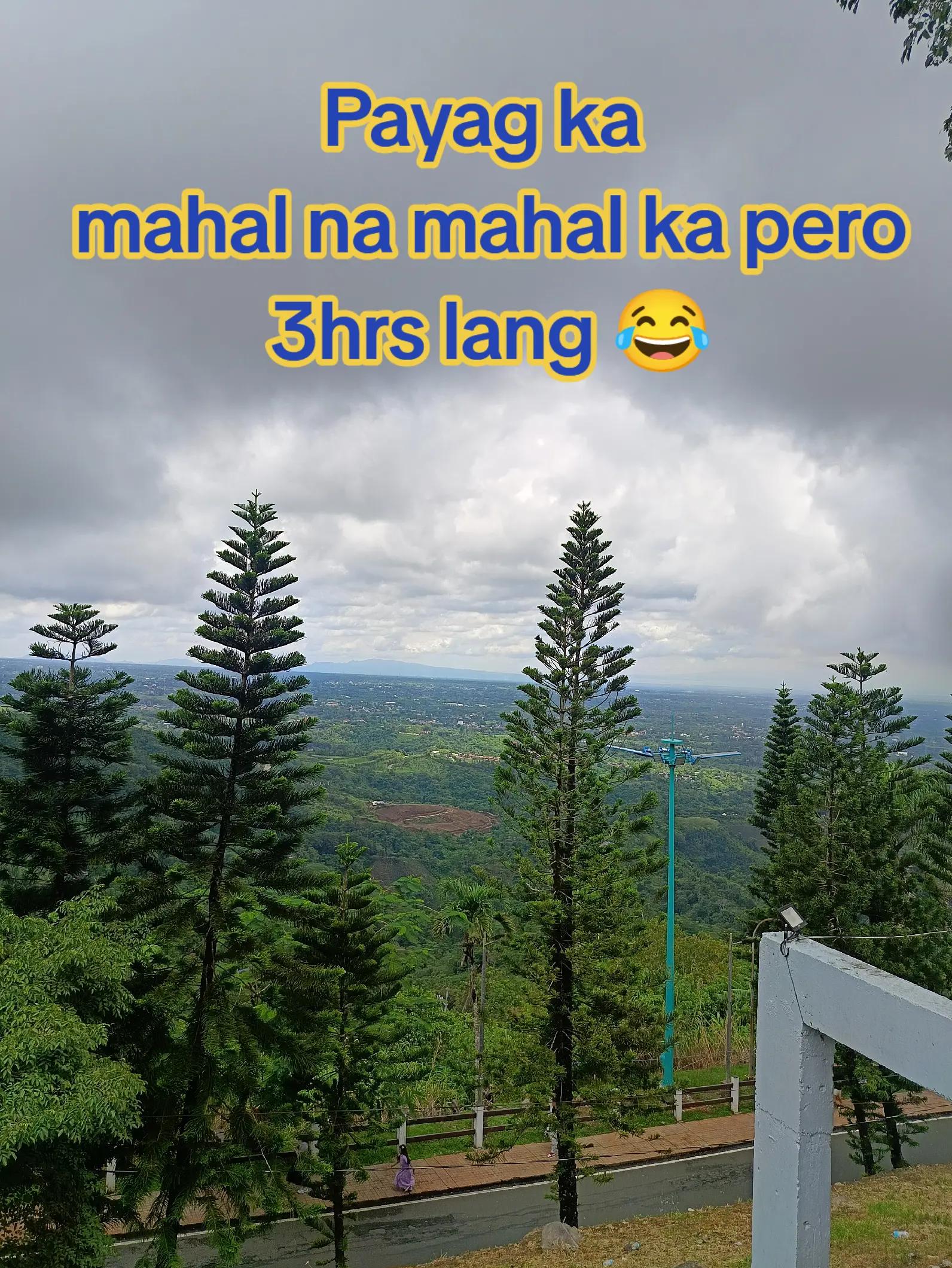 @zhang❤️