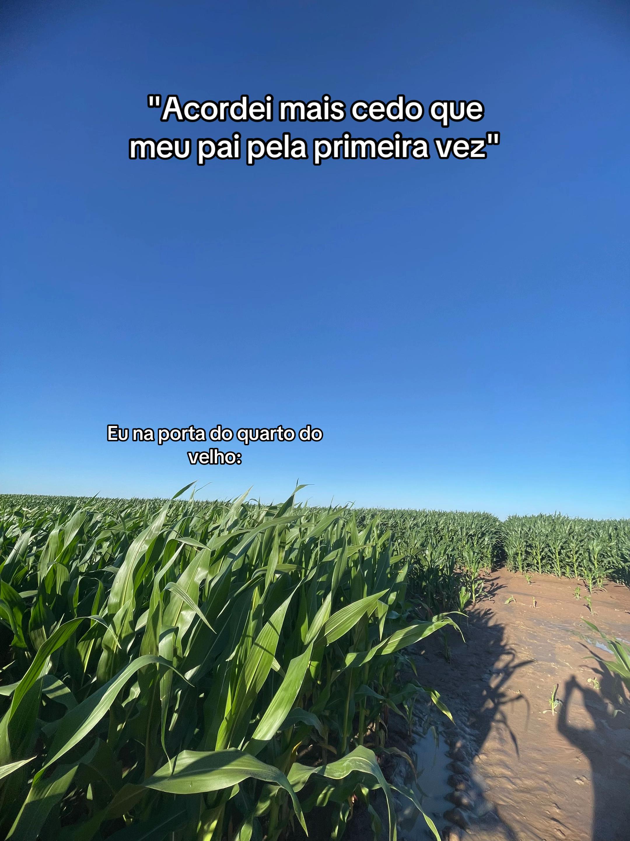 @Guga da Maia