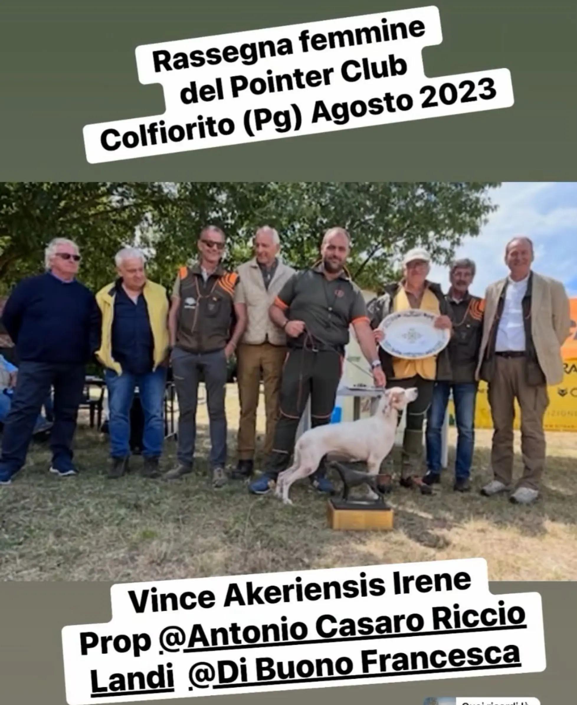@antoniocasaroricc
