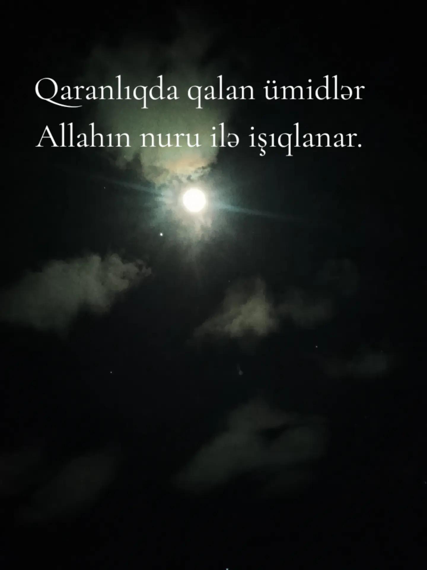 @nicat_⚡