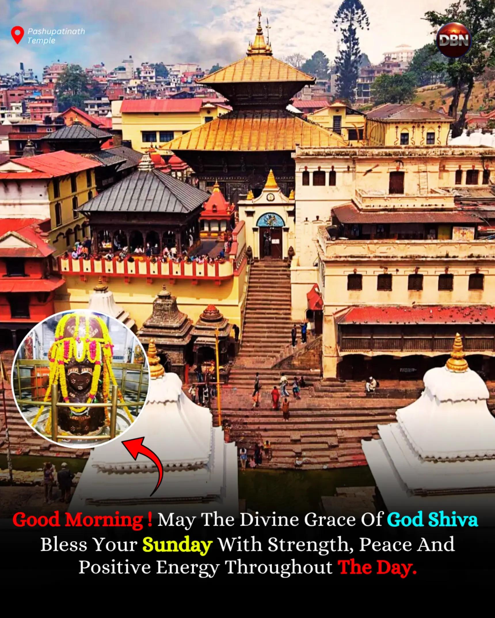 @Dailybuzznepal 🇳🇵