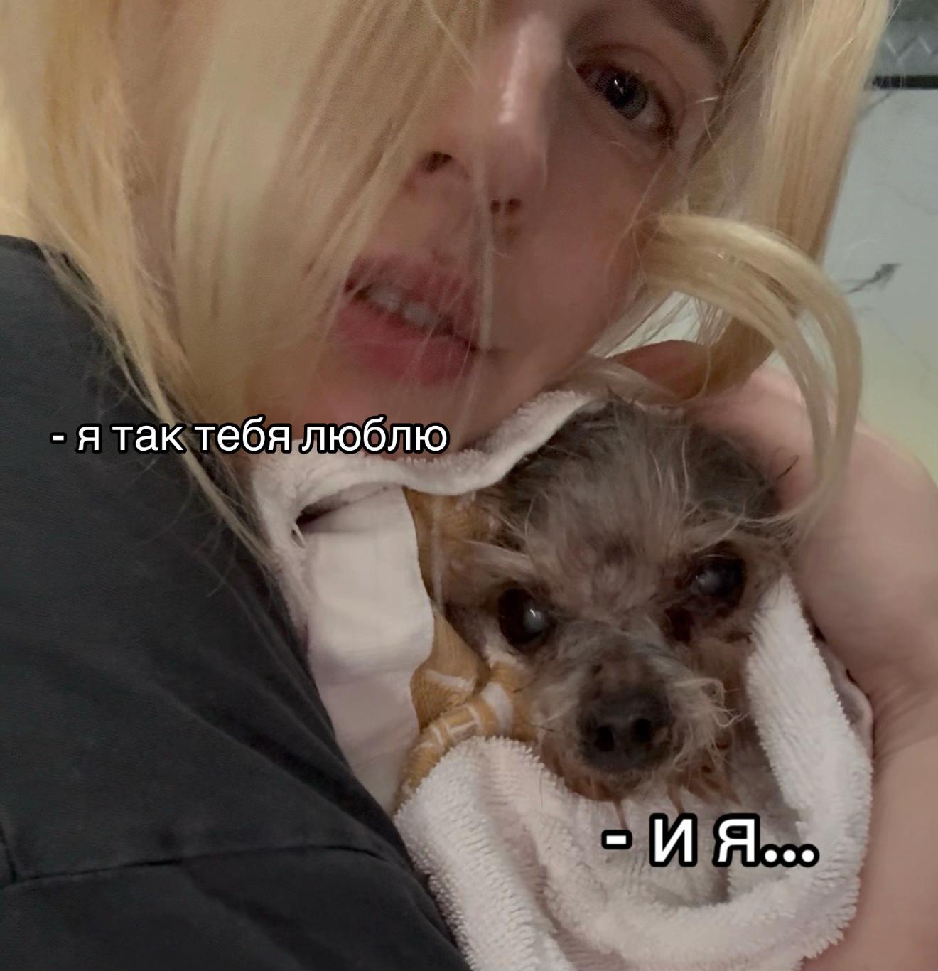 @Nastenka Kosh