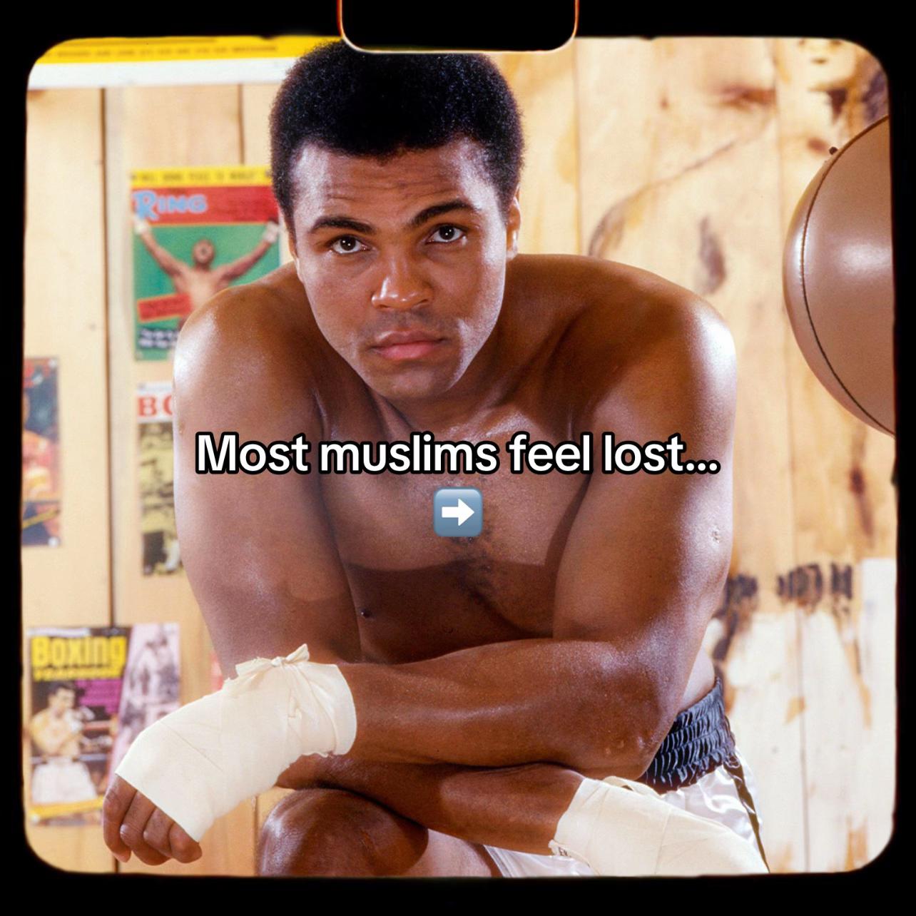 @Sabr