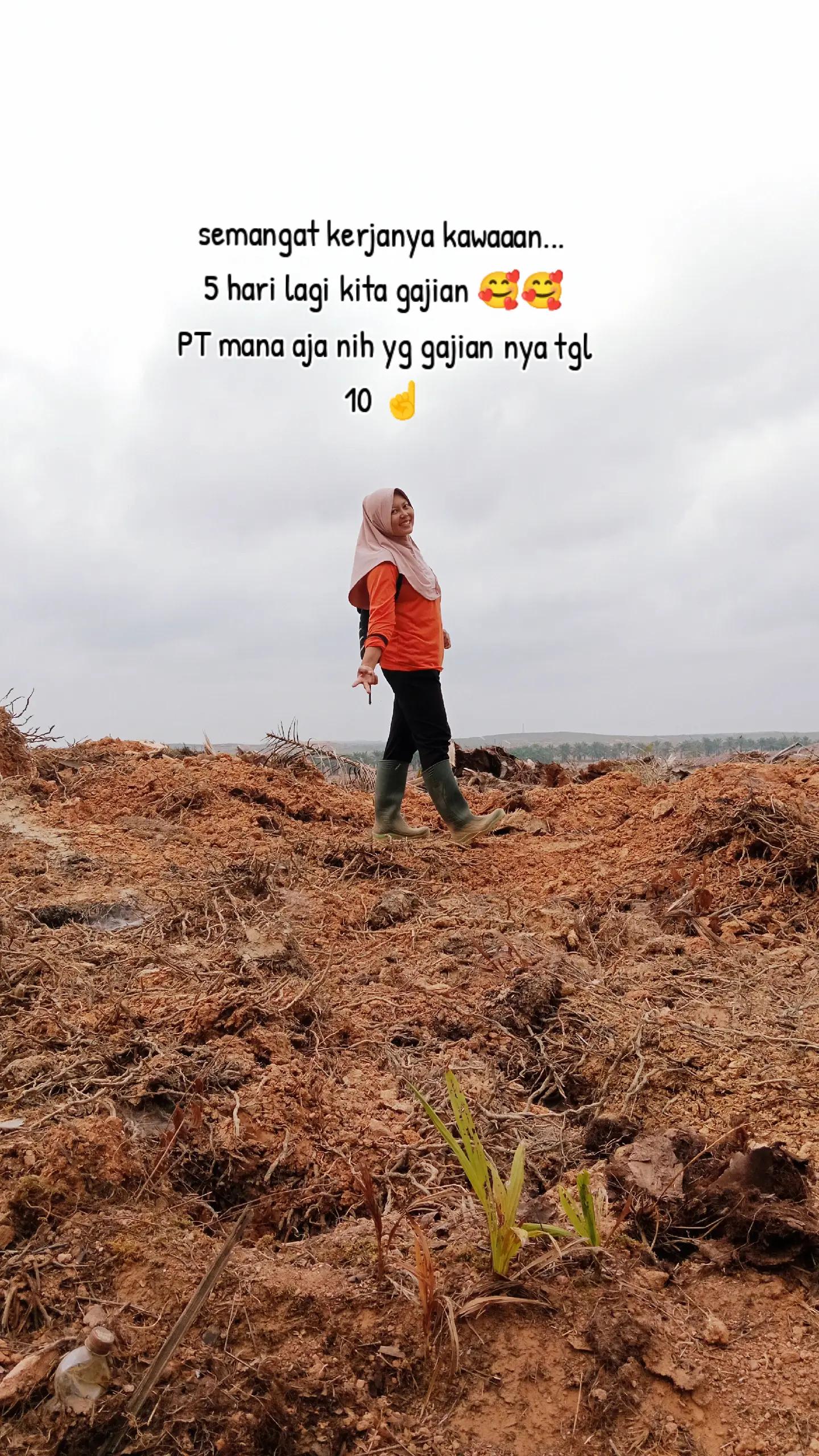 @Daryani yani