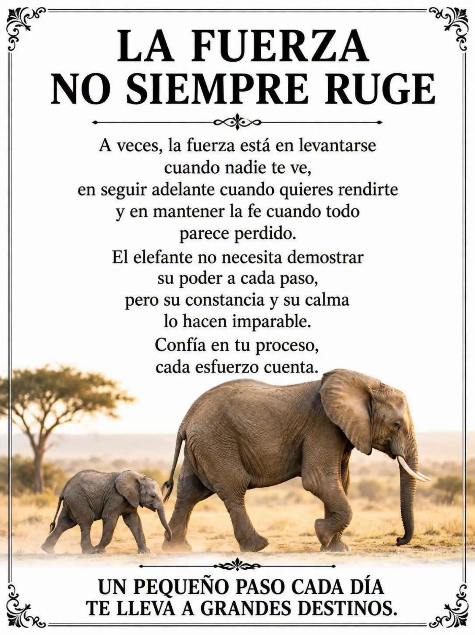 @Francisco Valdivia