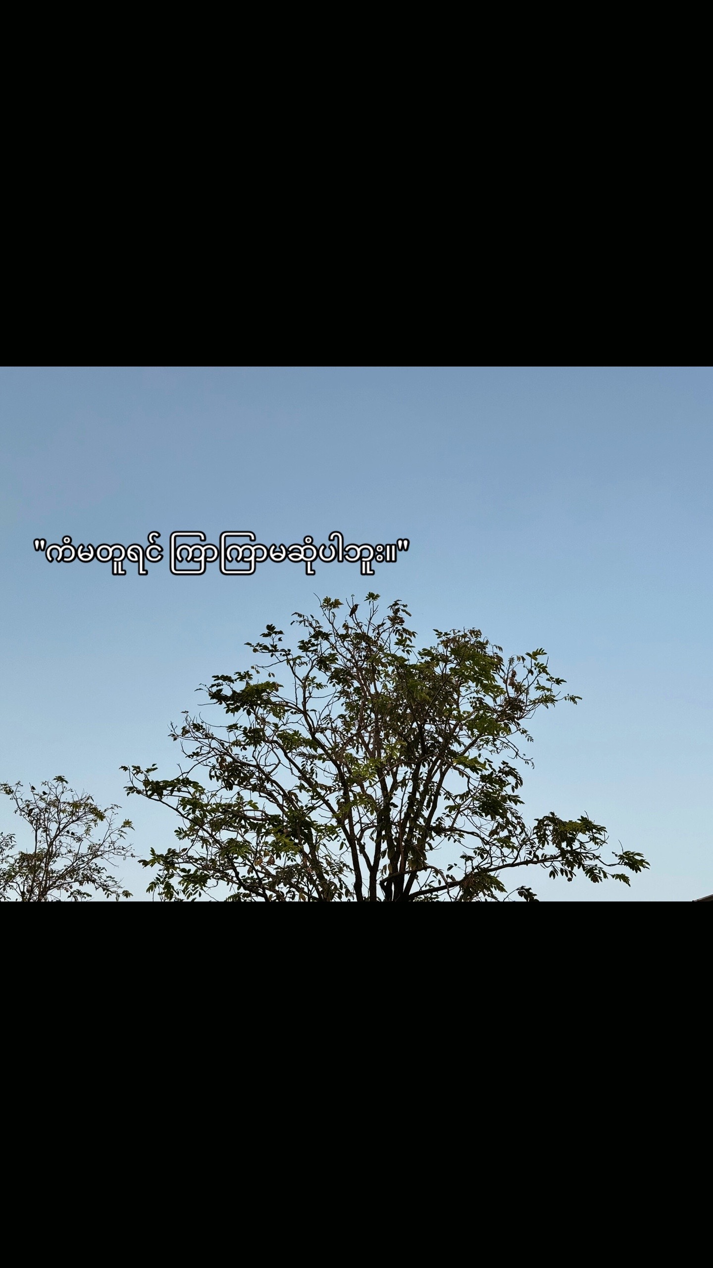 @Bingođ