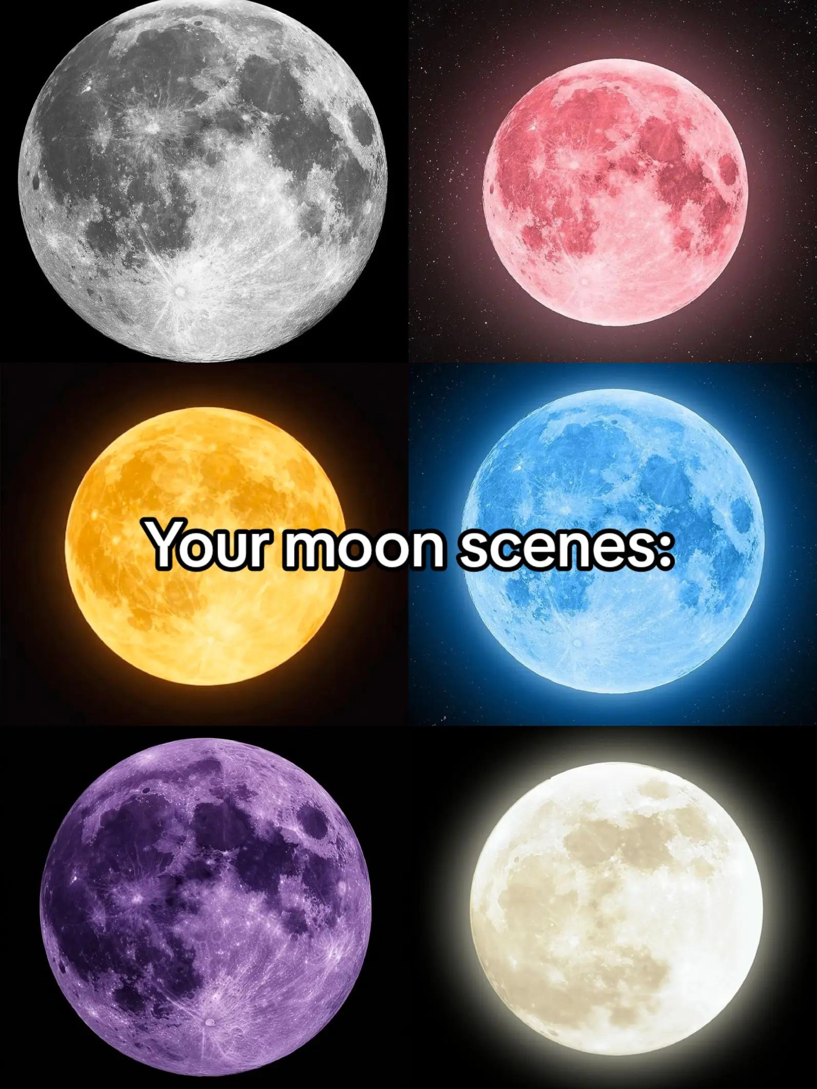 @ᴄᴀʀʟ友