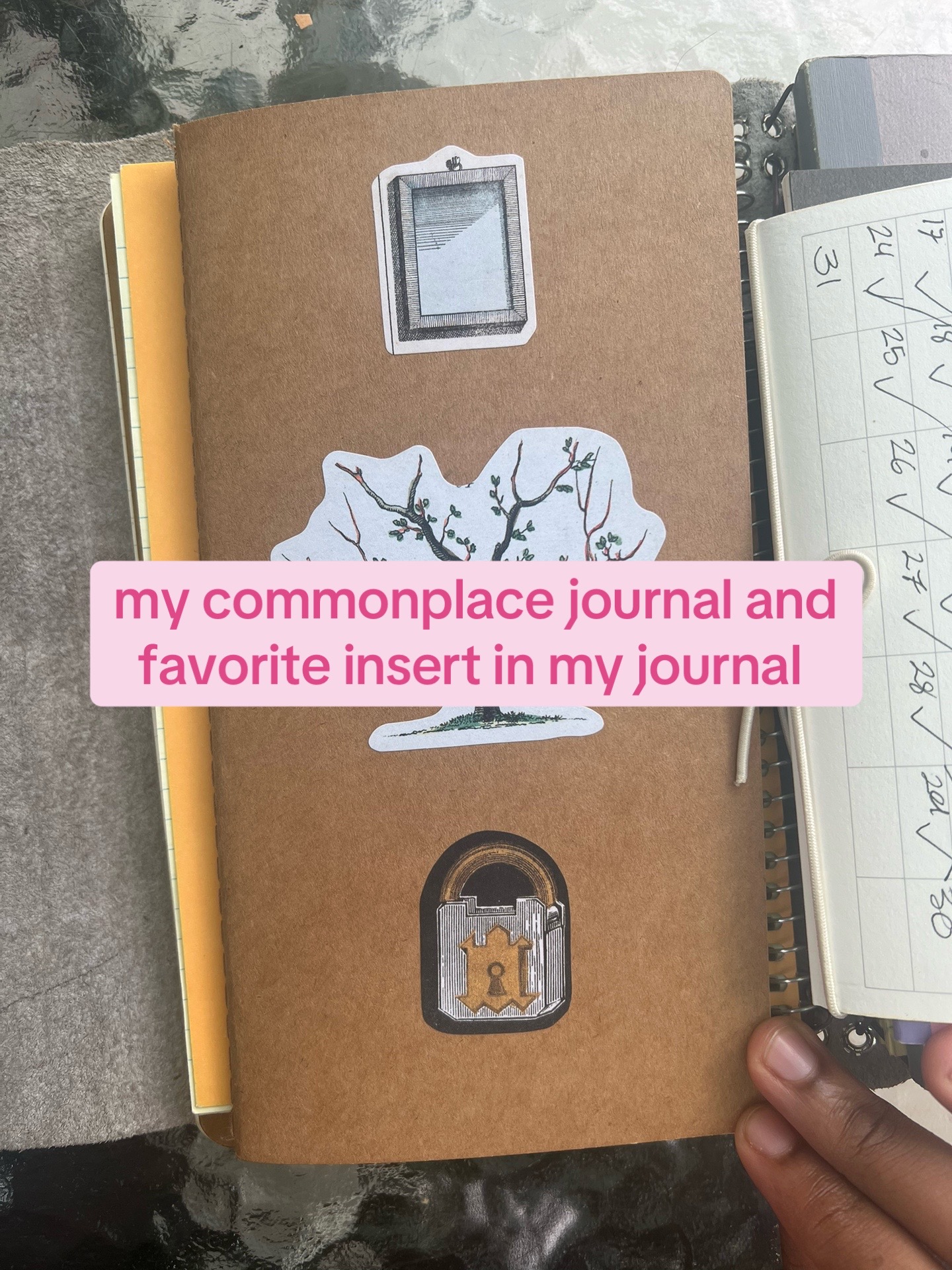 @Dylan | Writer | CC 📚🦋