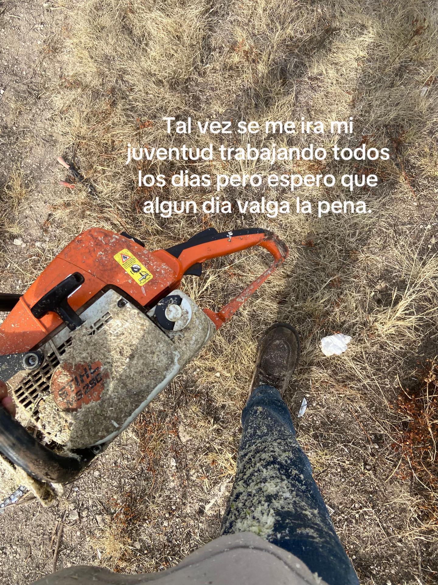 @M.V