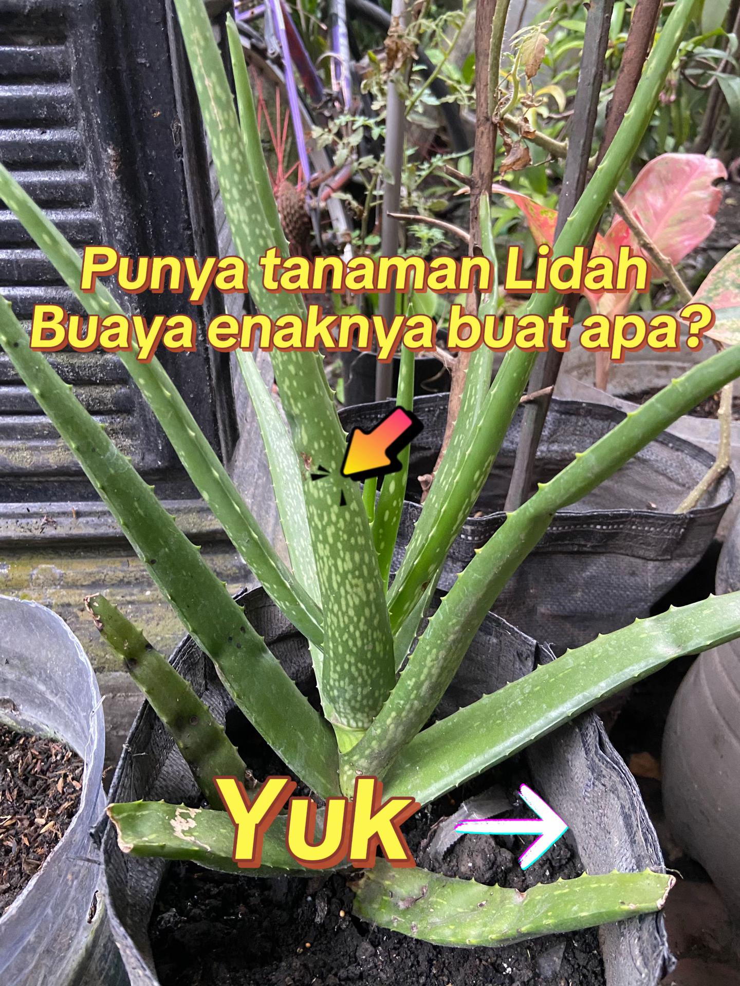 @Rumah Bertiga