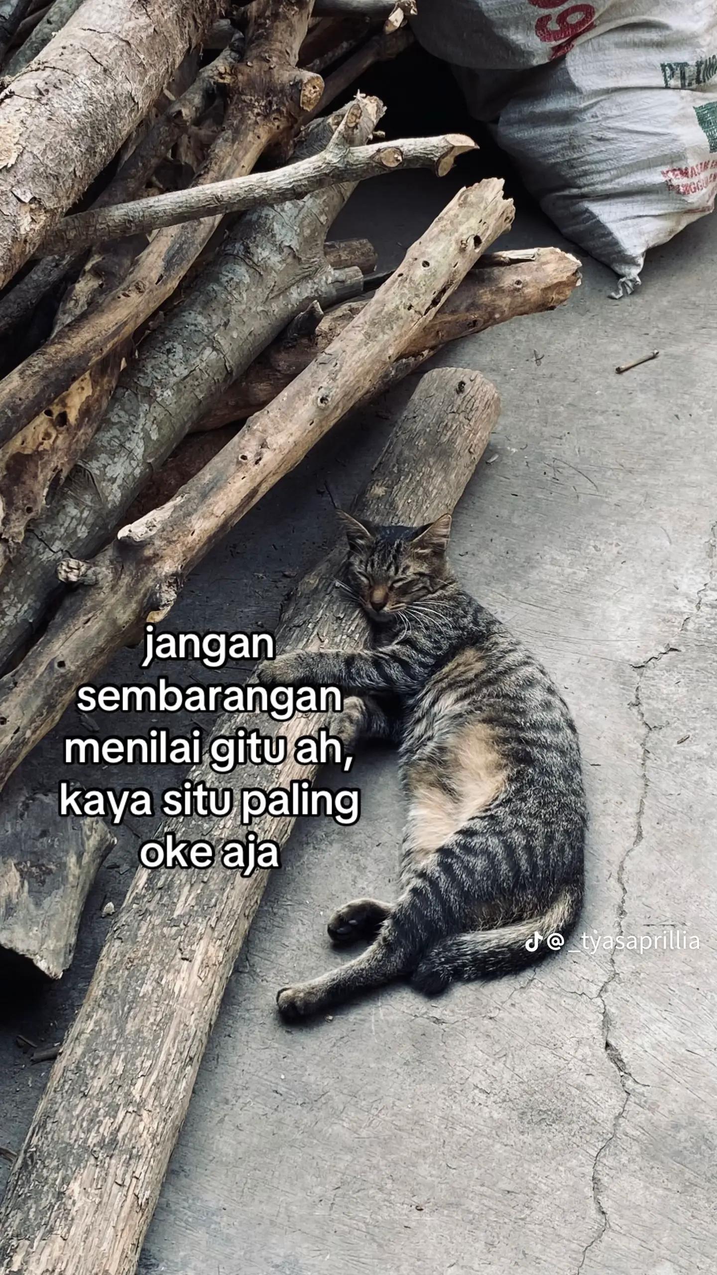 @Andika