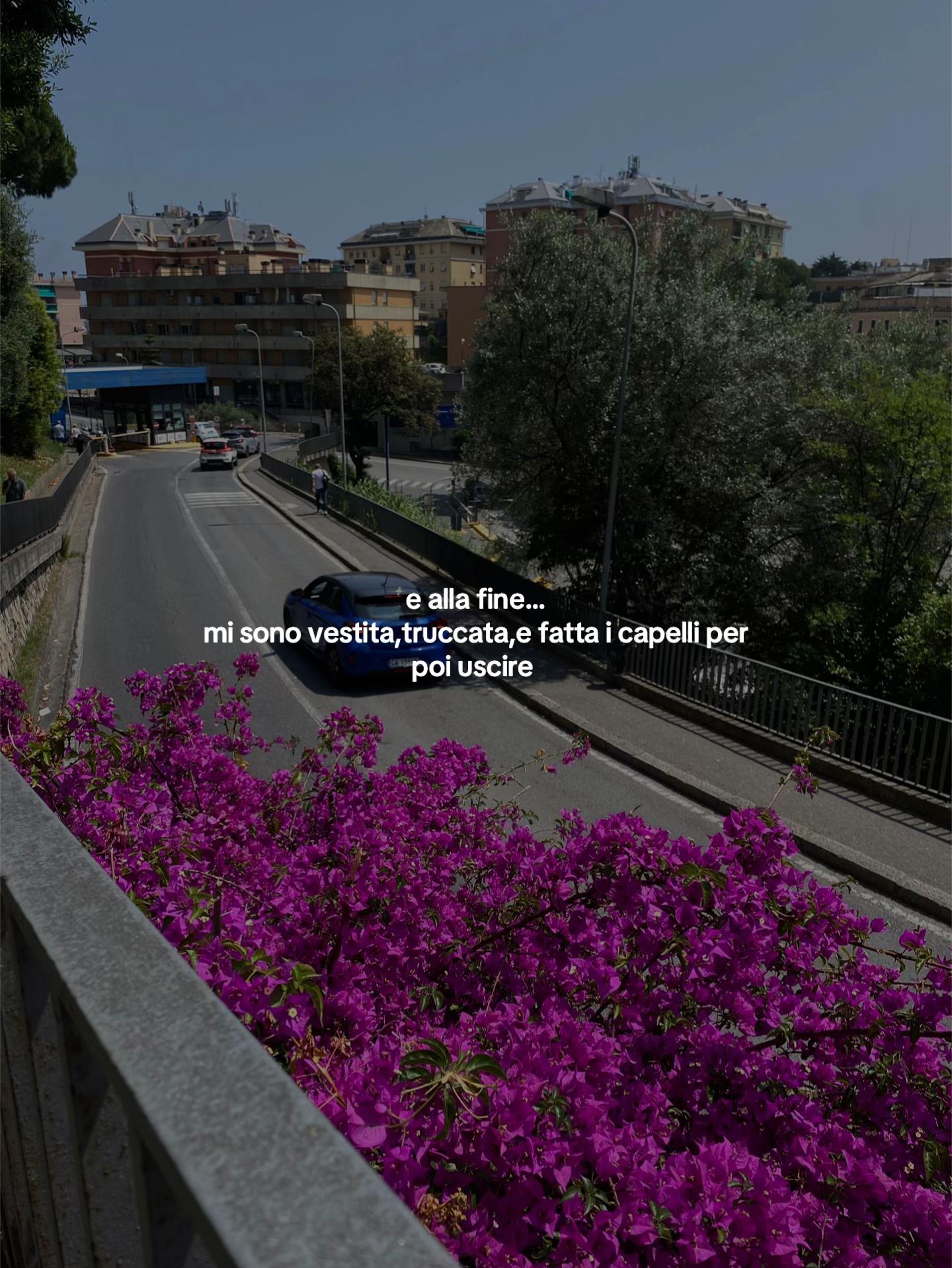 @siria mendola