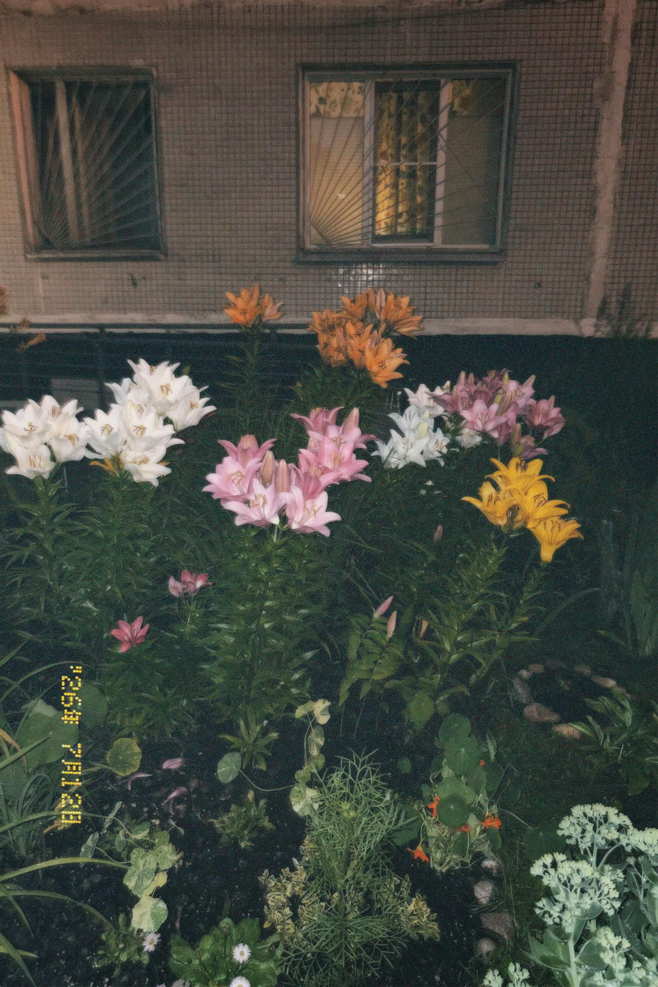 @𝐷.