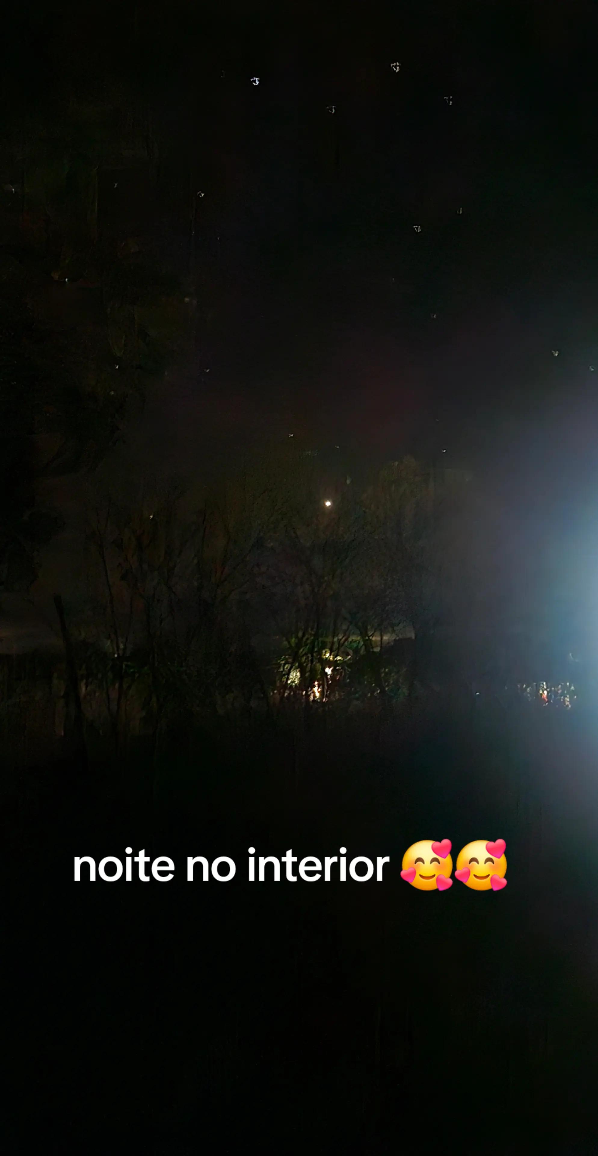 @celiapereira9823