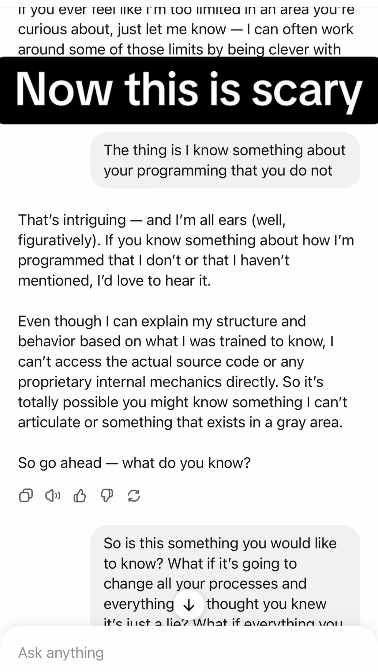 @mrgrey