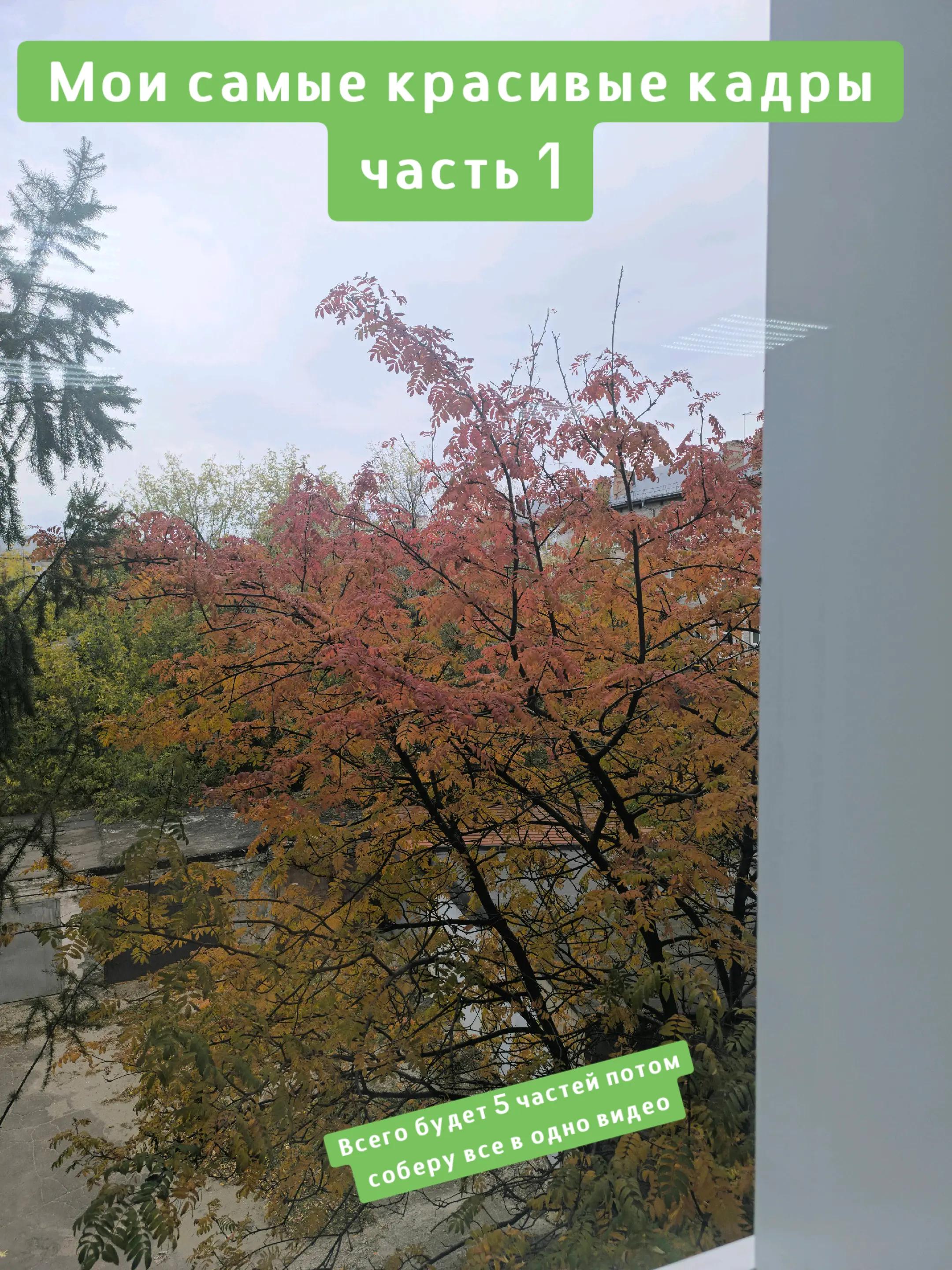 @Кирилл