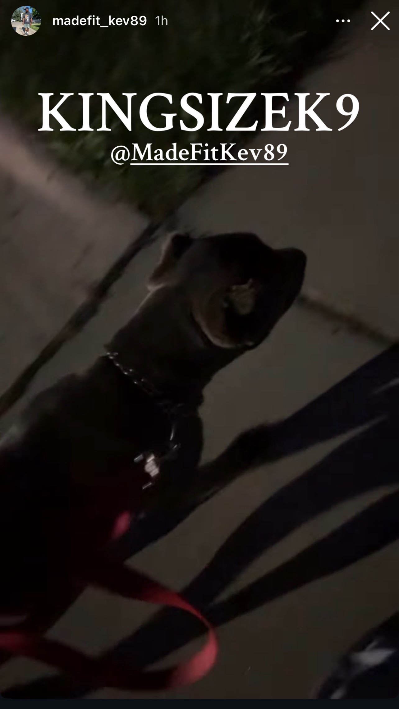 @KingCorso