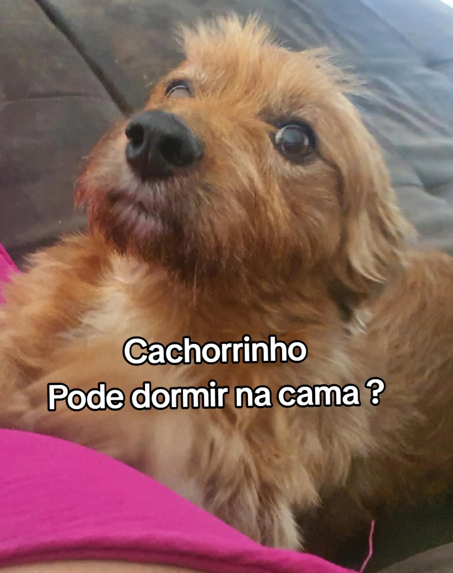 @Jessika Sobral