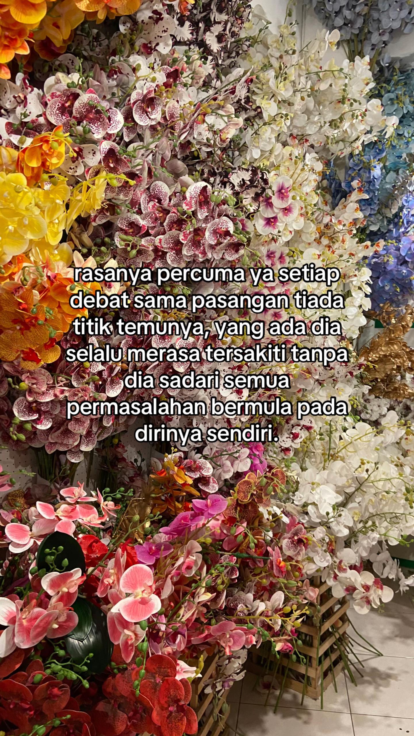 @ikaa 🐾