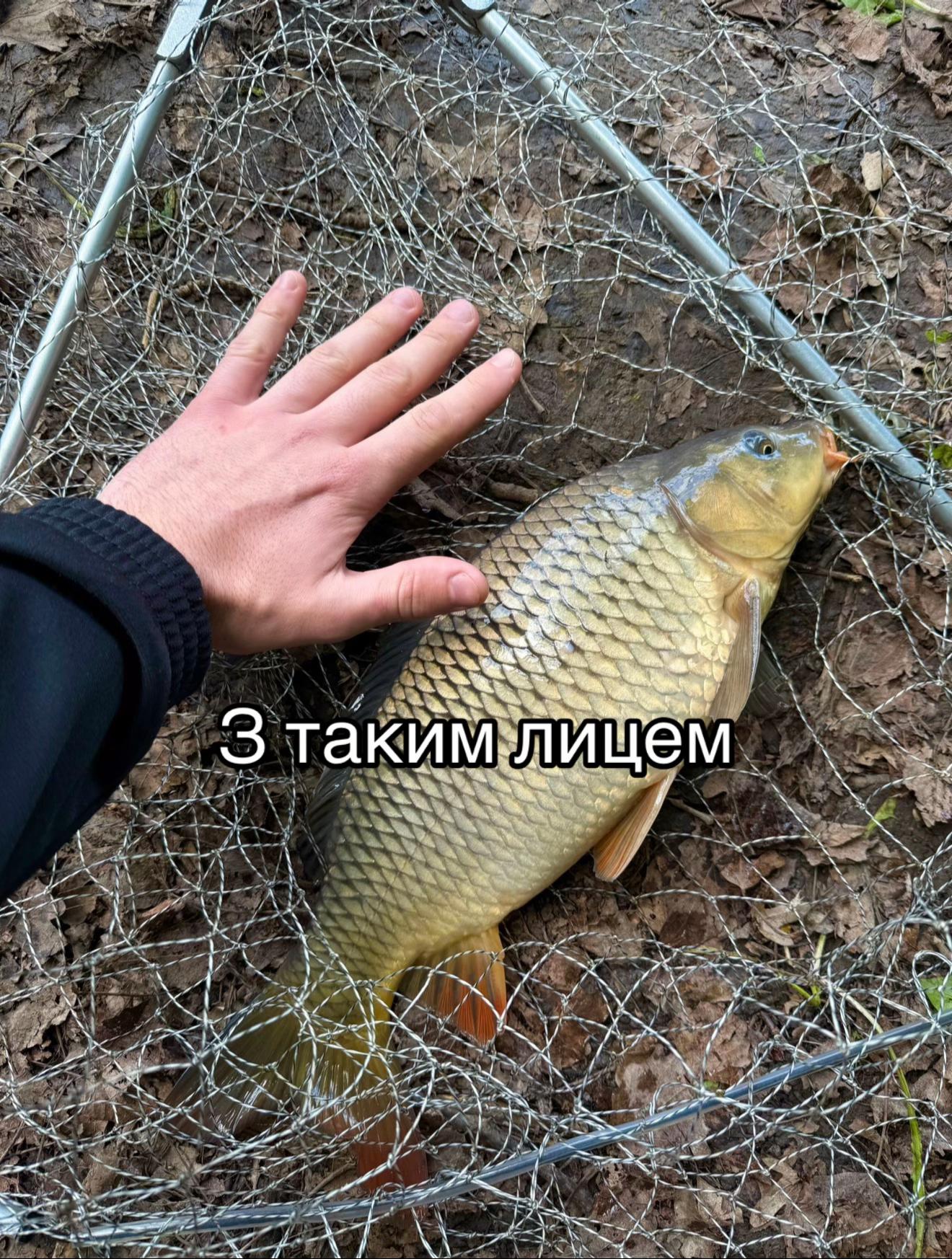 @Підписуйся! Клуб рибаків 🎣