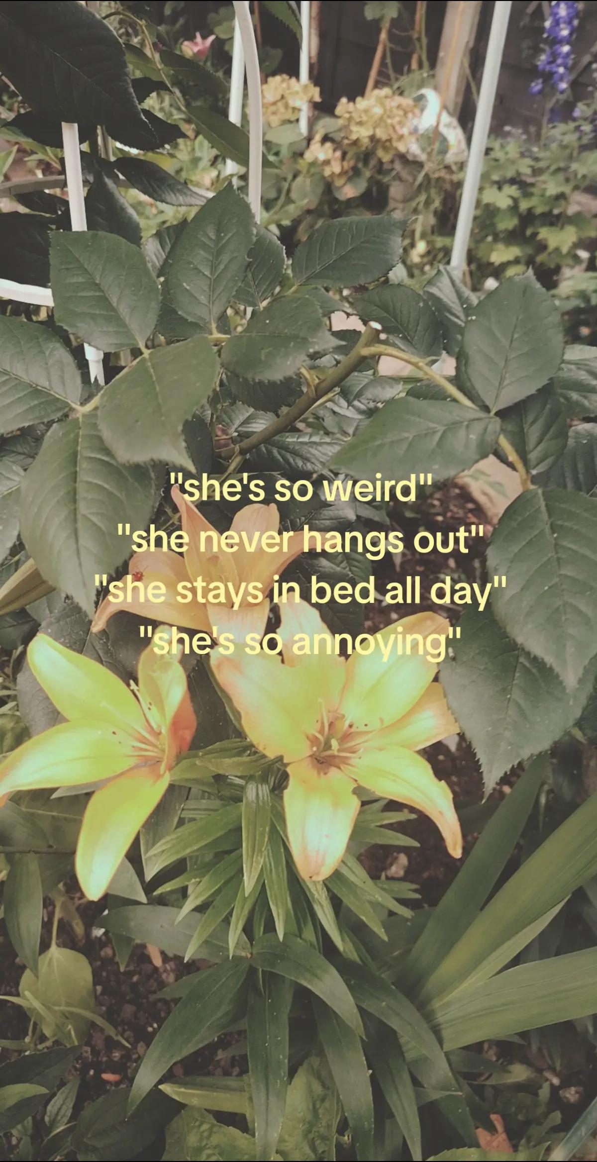 @evaa🫶🏼