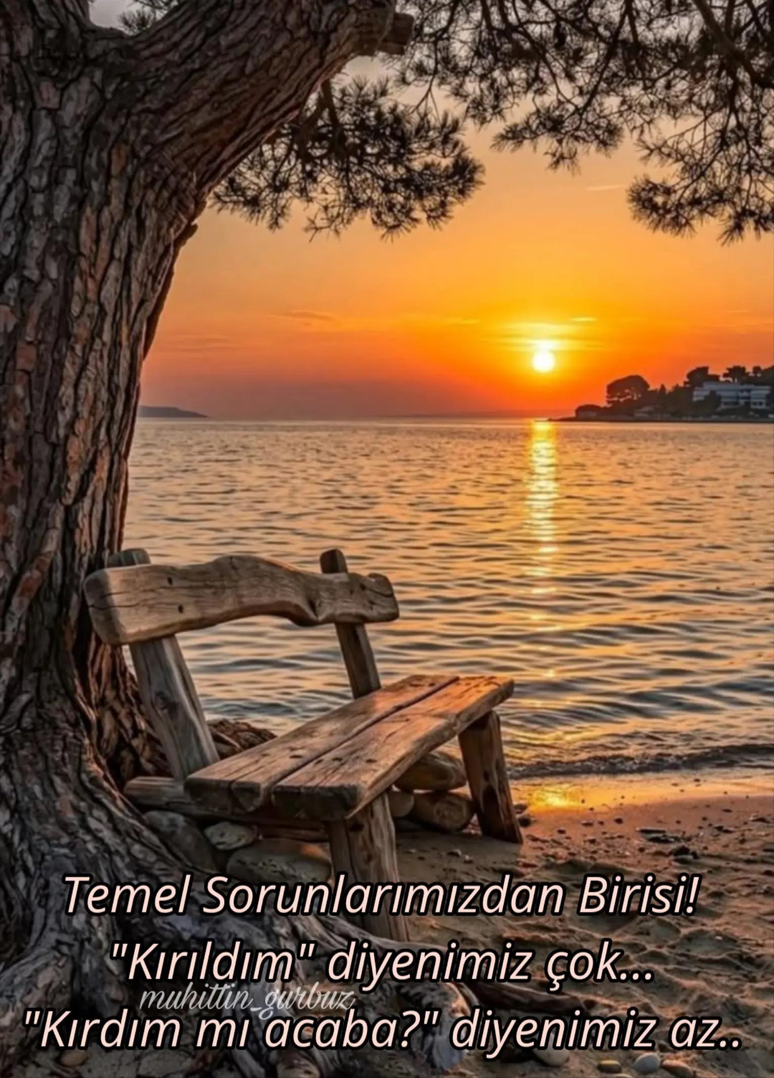 @🇹🇷 Muhittin44 🇹🇷