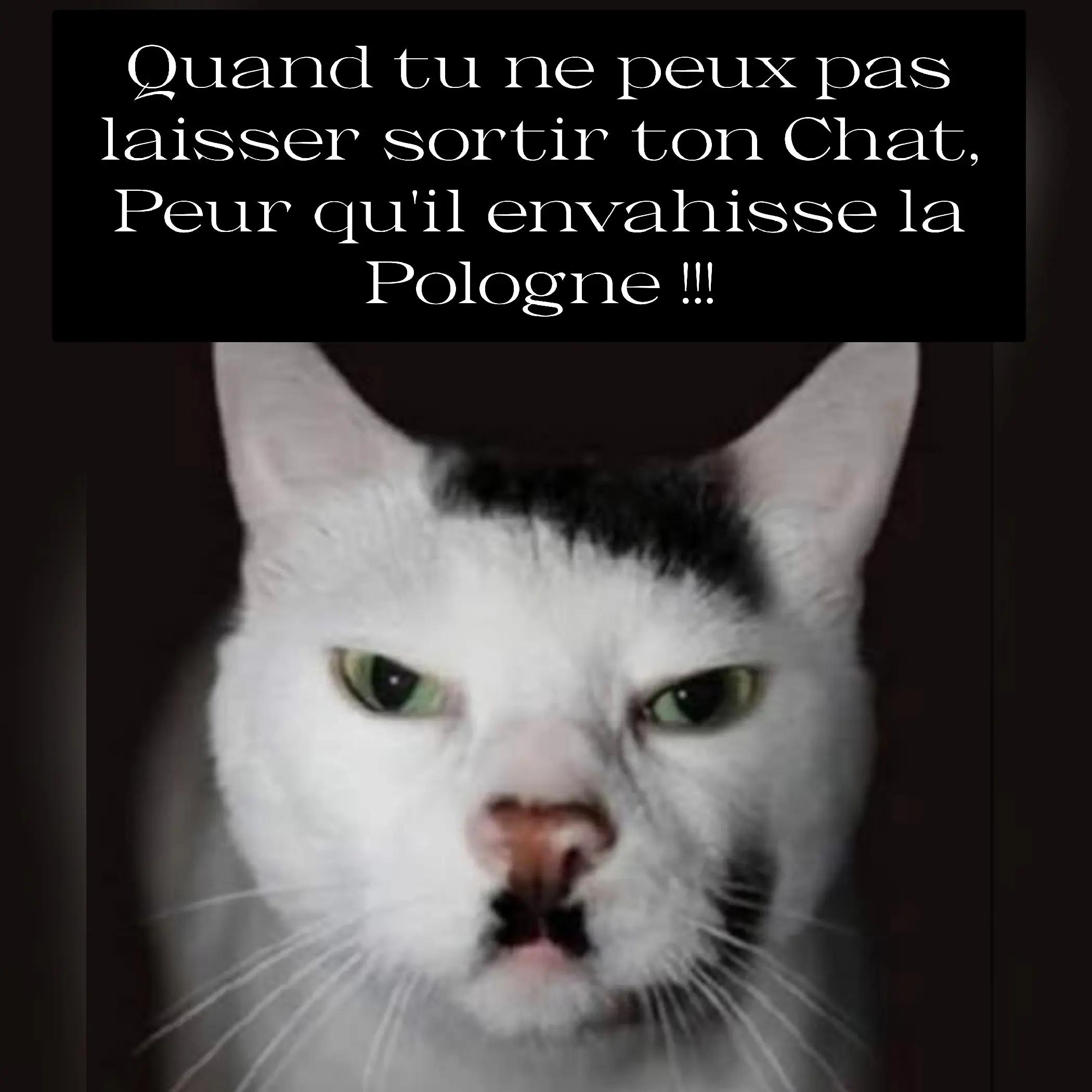 @Humour de wilou