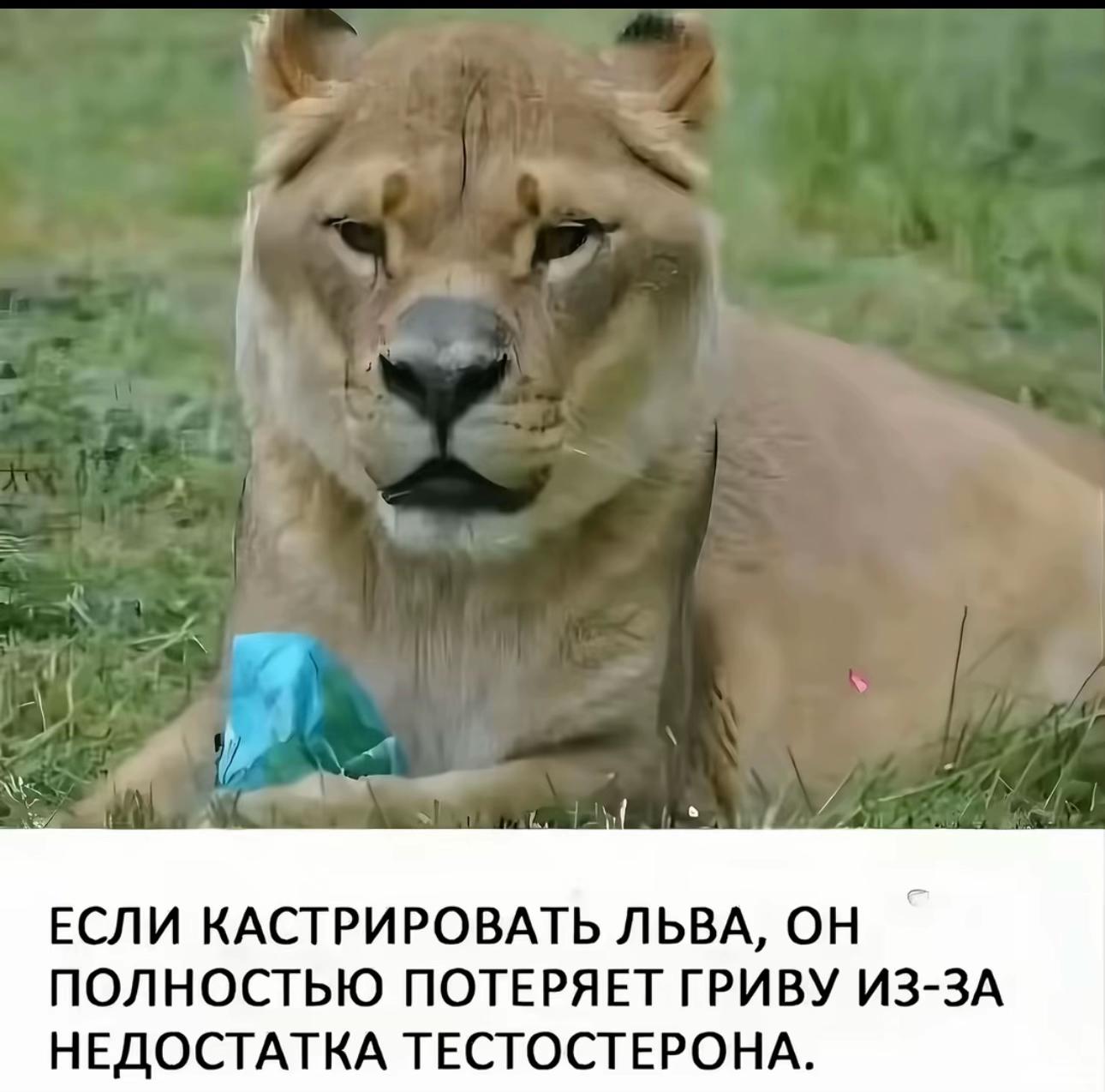 @тгк: мини борщ
