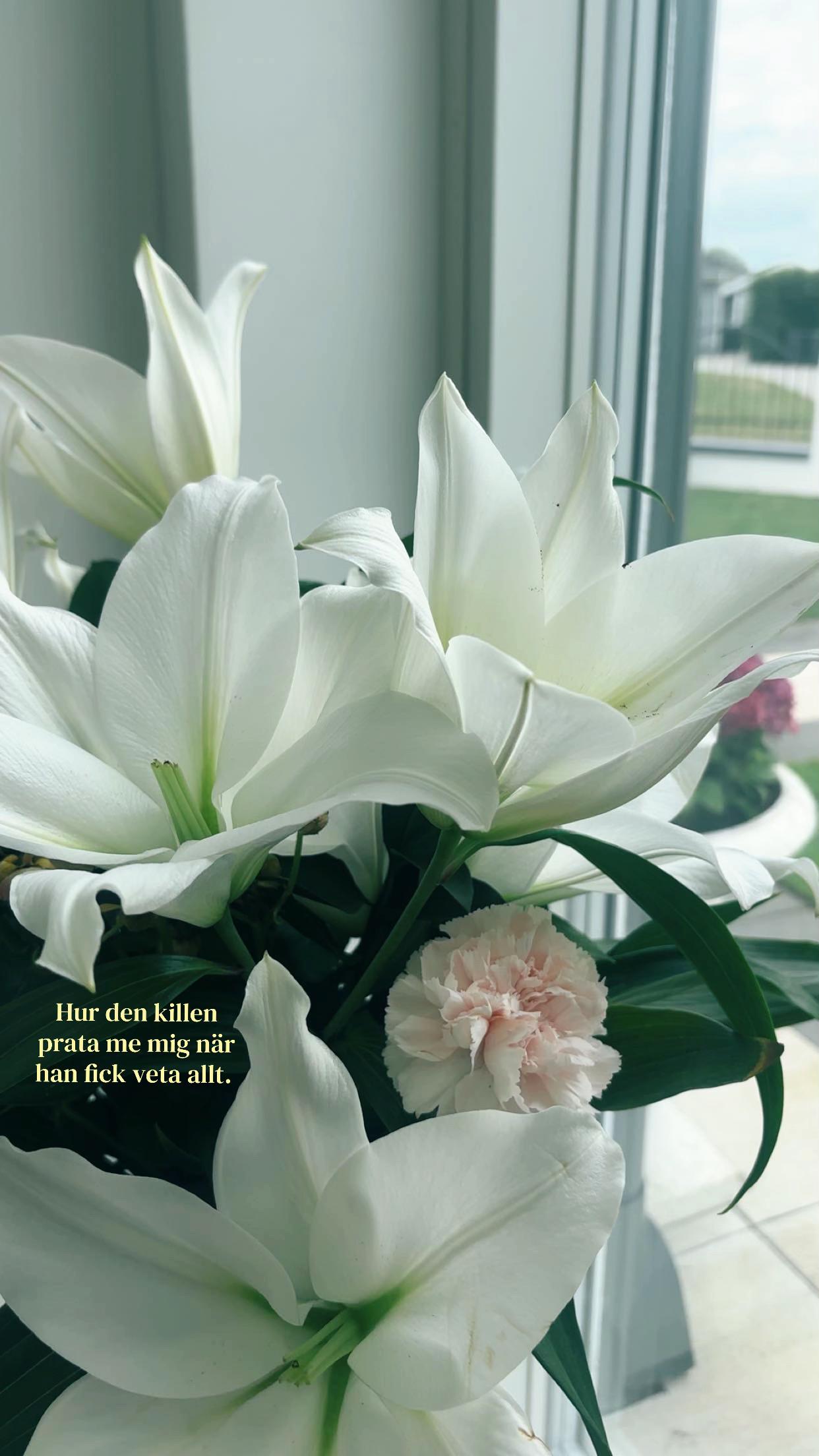 @Lilja