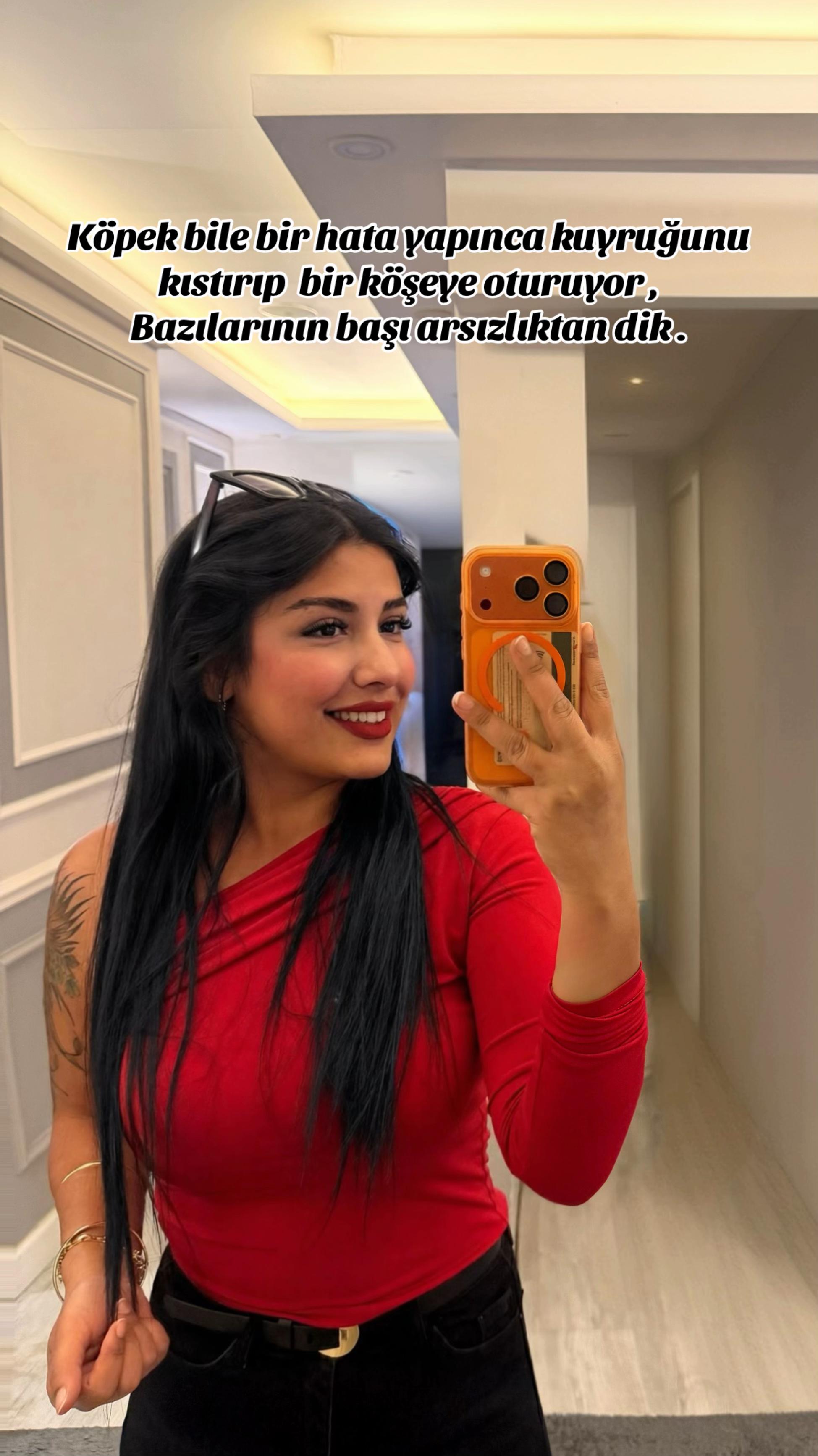 @zsyl__1