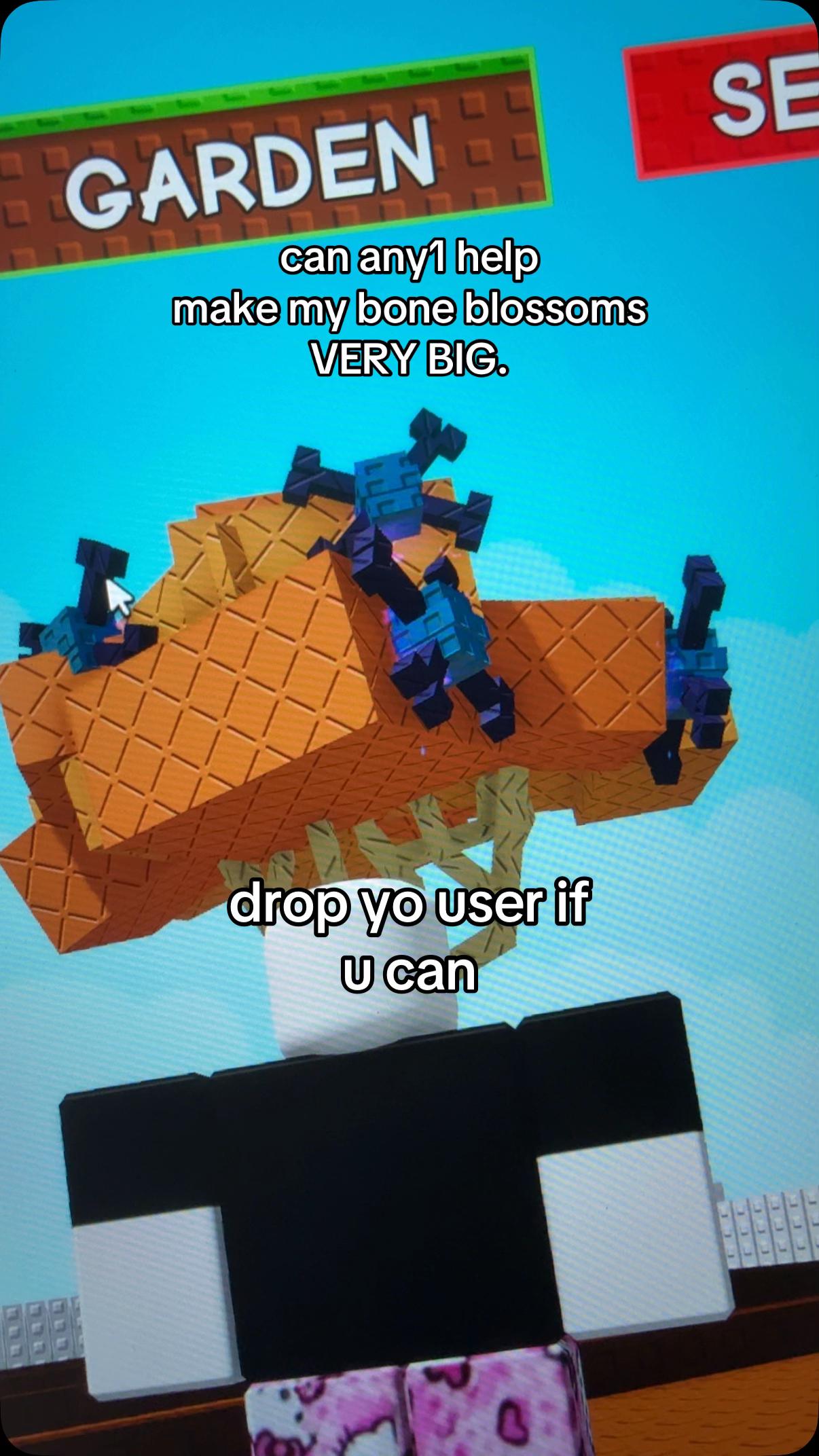 @polo
