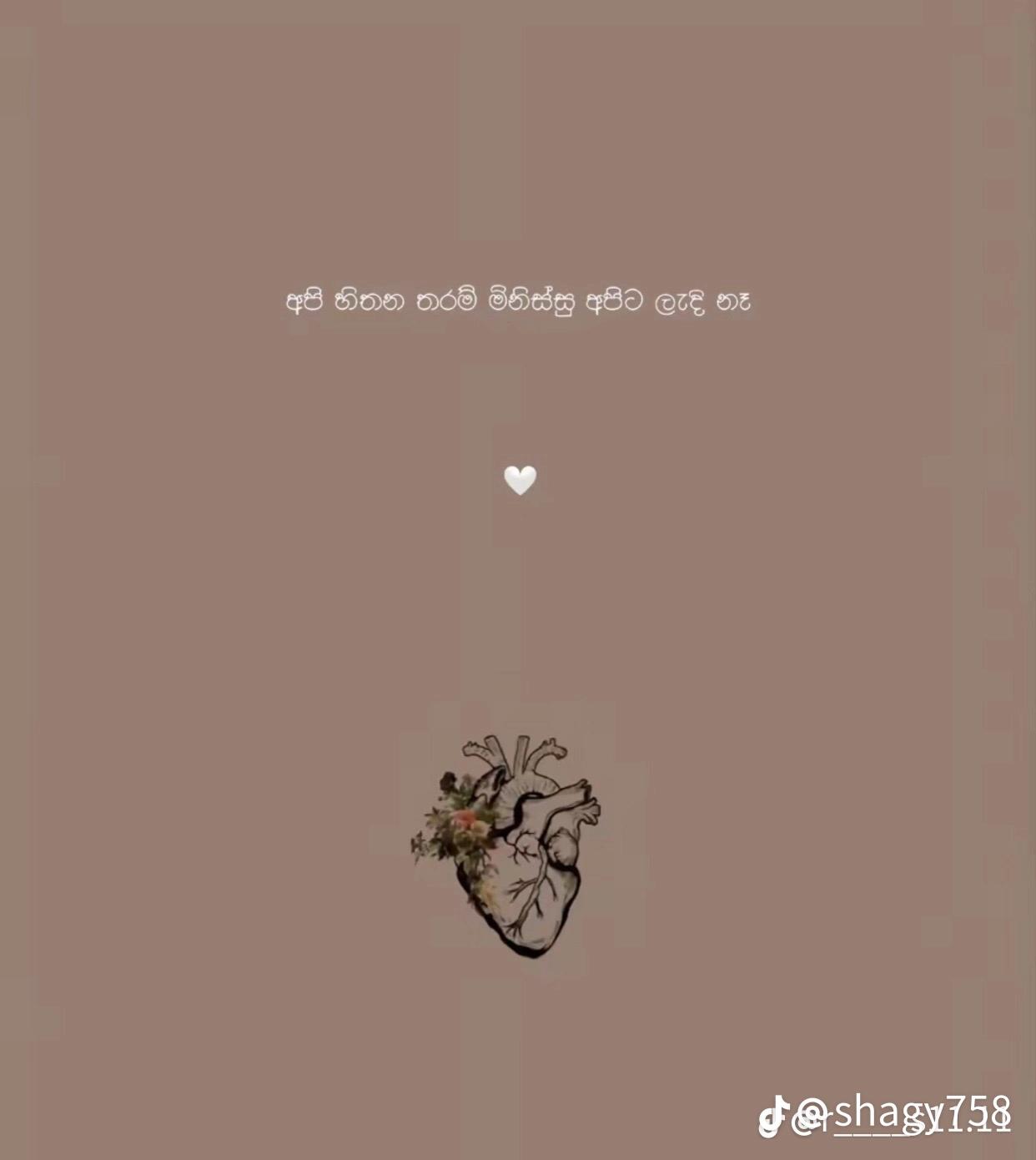 @"𝐇𝐢𝐦𝐚𝐲𝐚_𝐳𝐳🤍🍓"