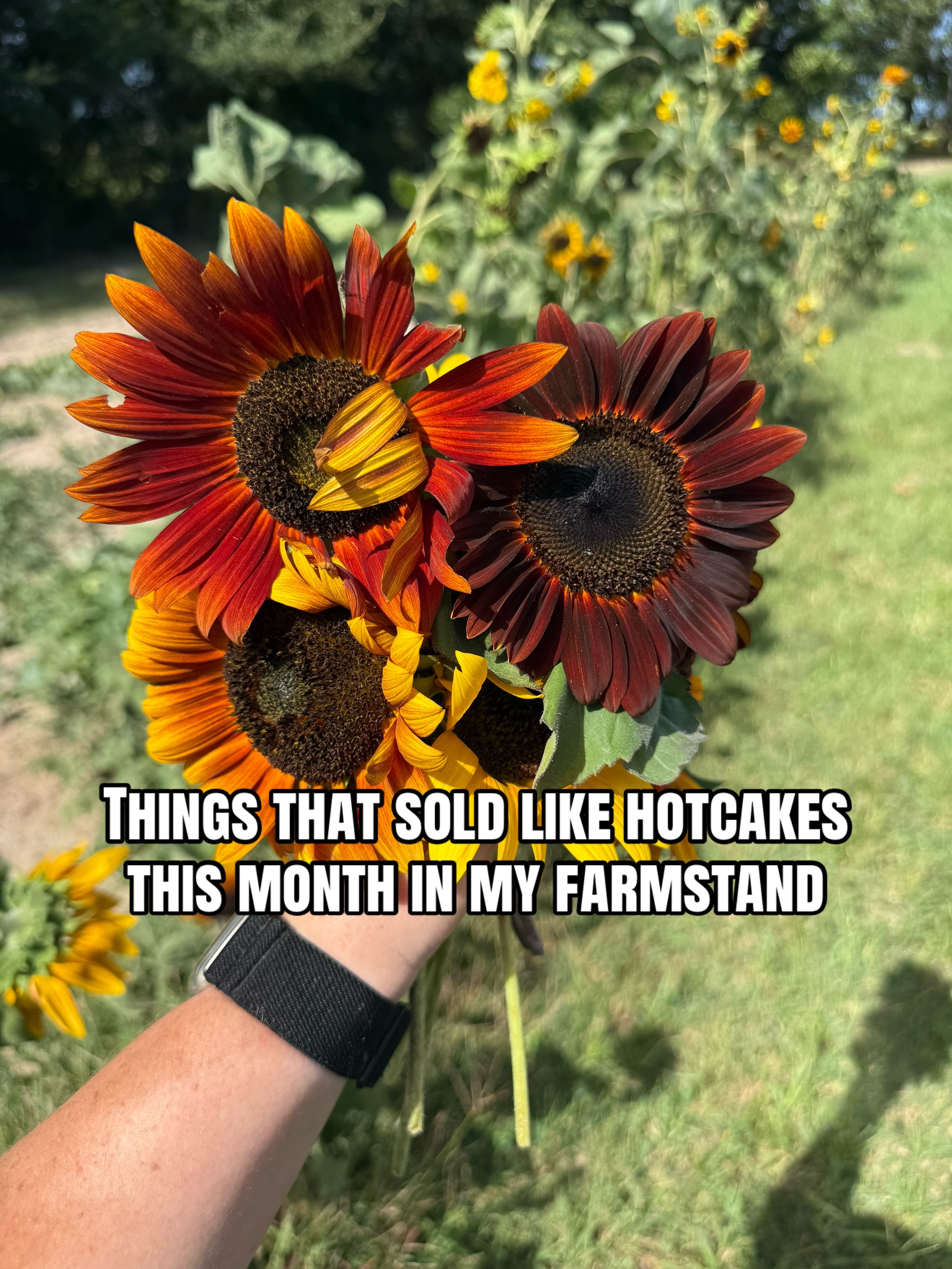 @Jordann | Lady J’s Farmstand