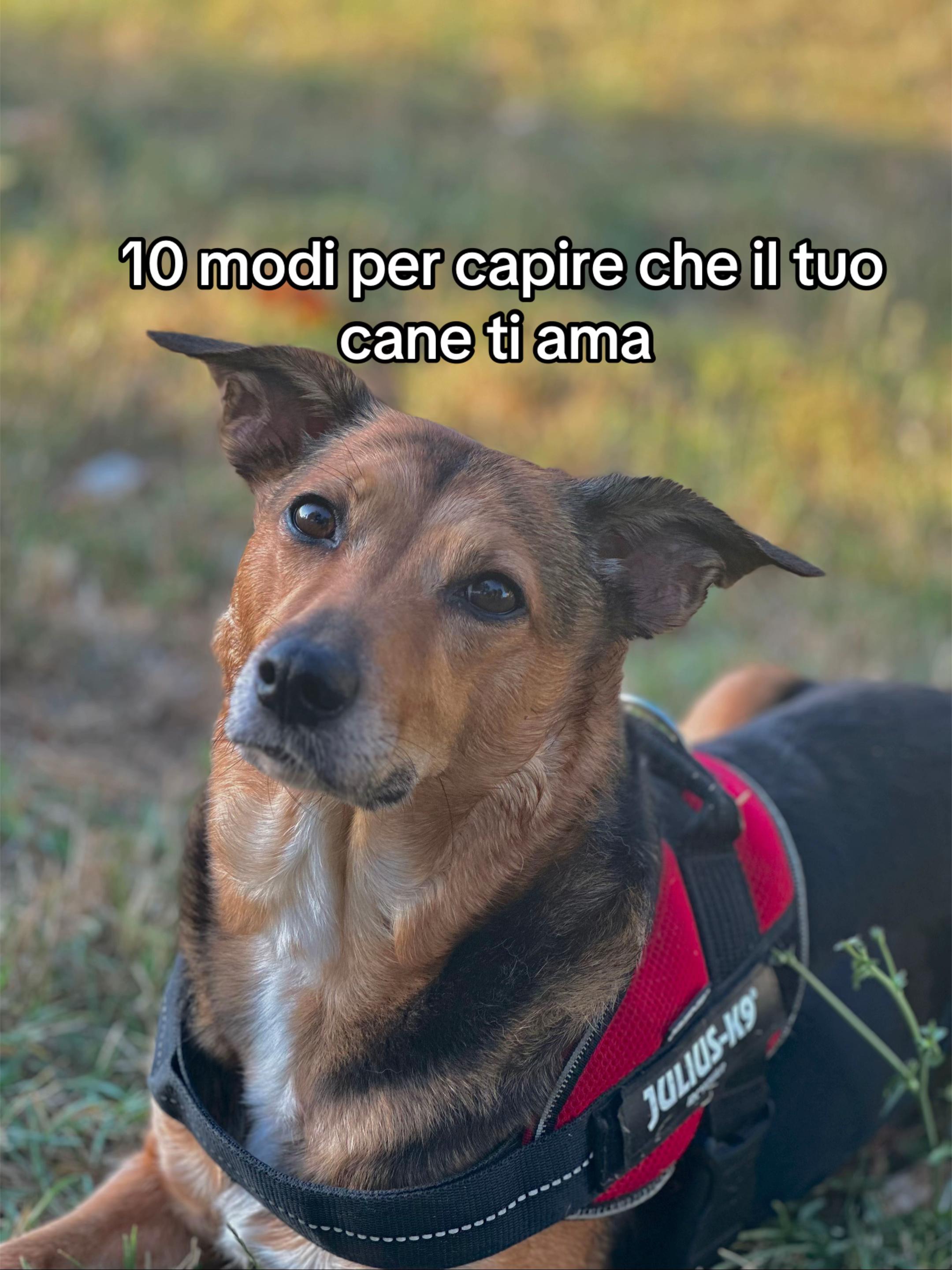@Fra_le_nuvole_