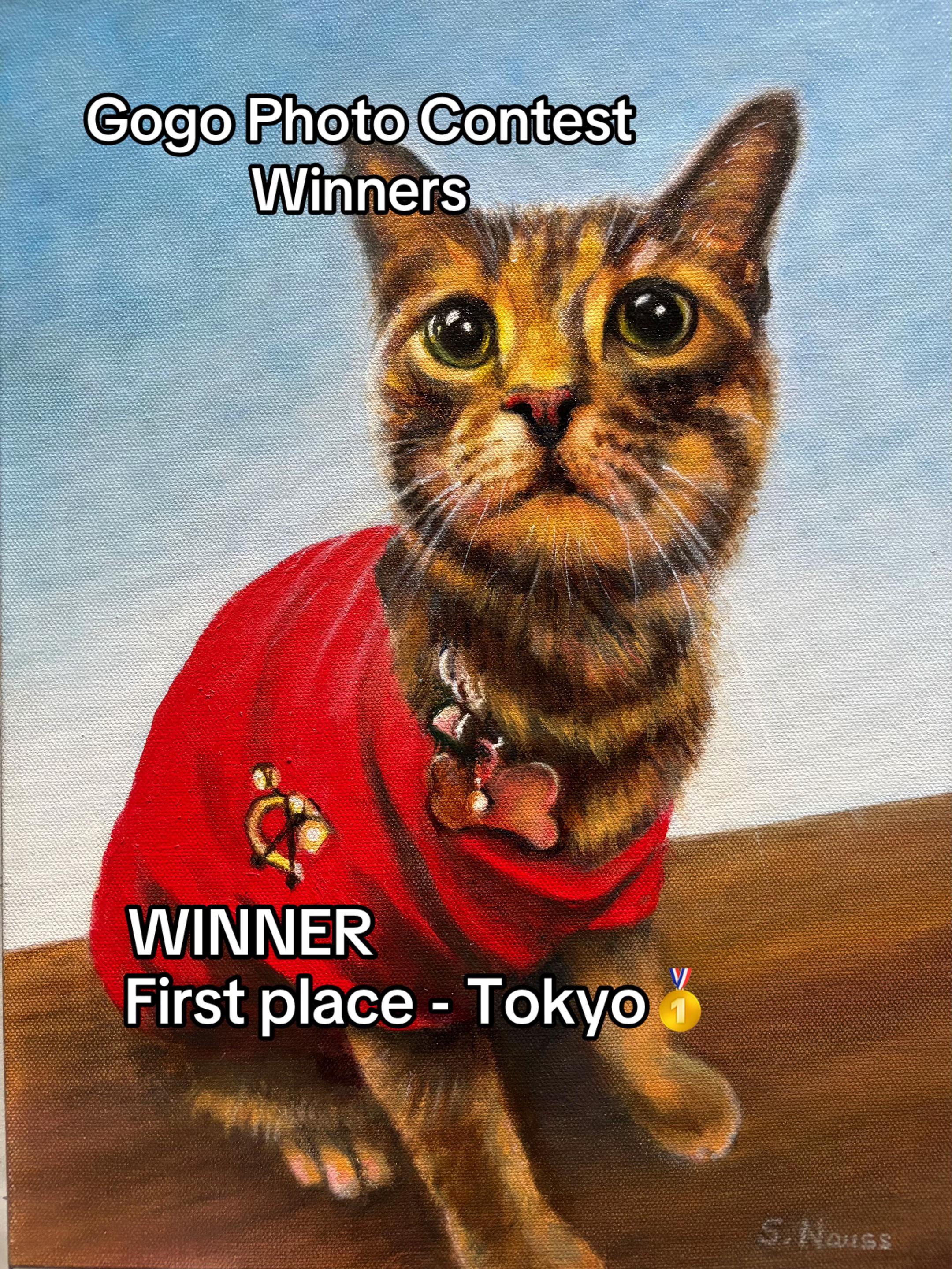 @North Toronto Cat Rescue