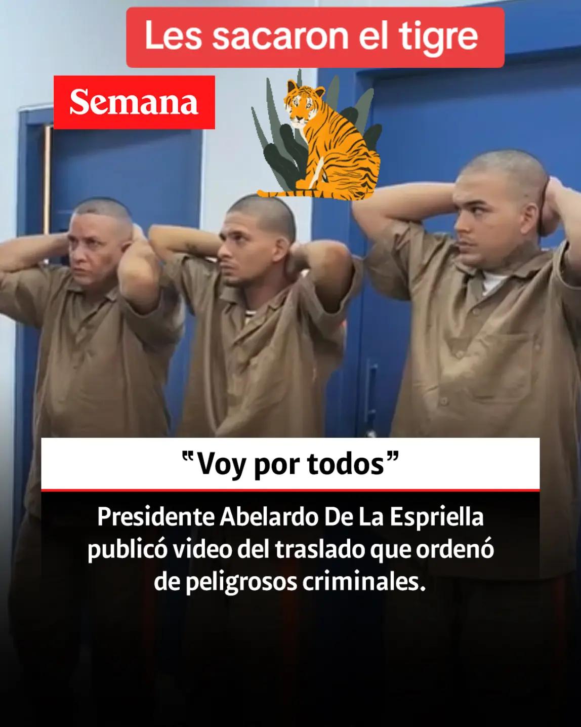 @Noticias zorrito
