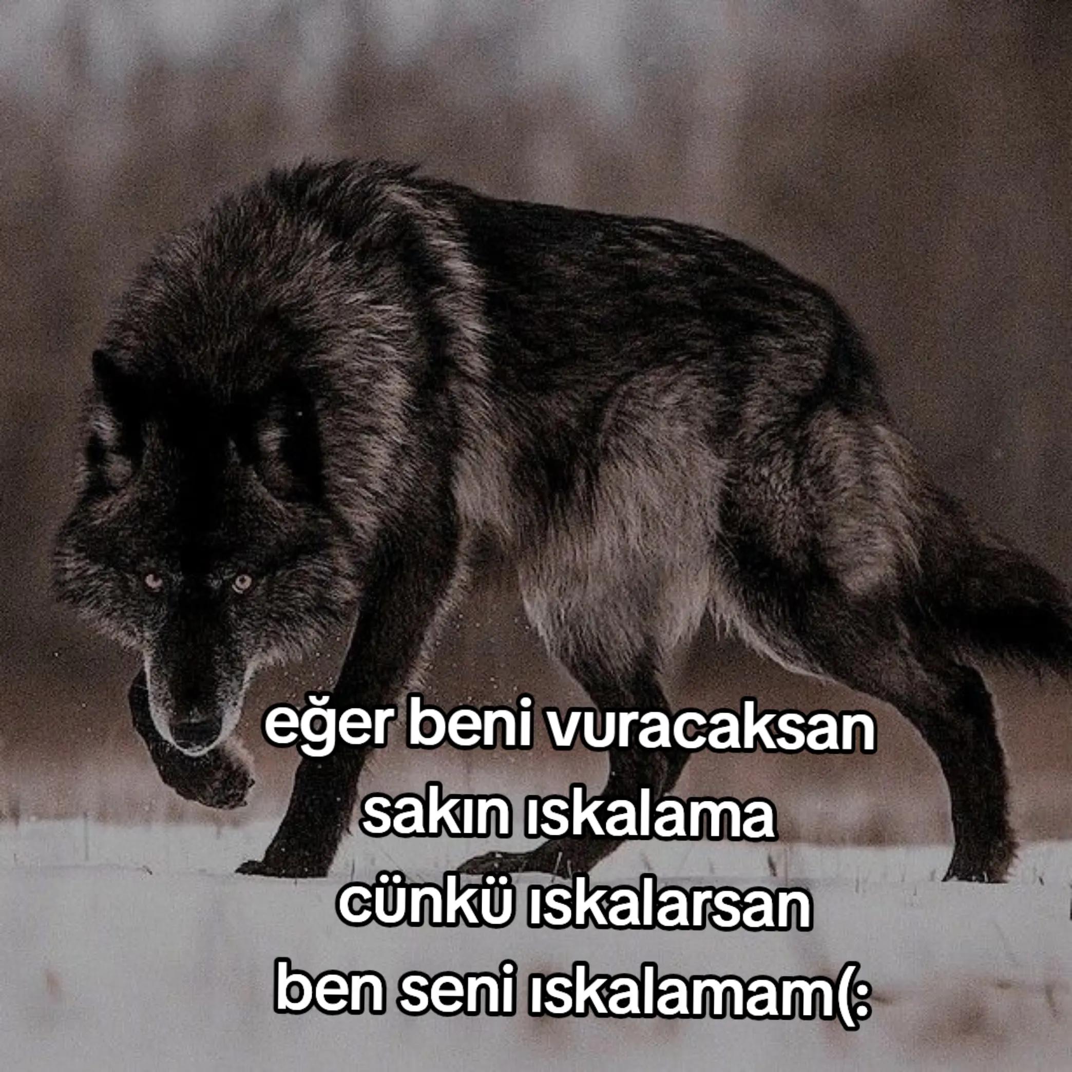 @🇰🇿yağmurmuti𖣂︎