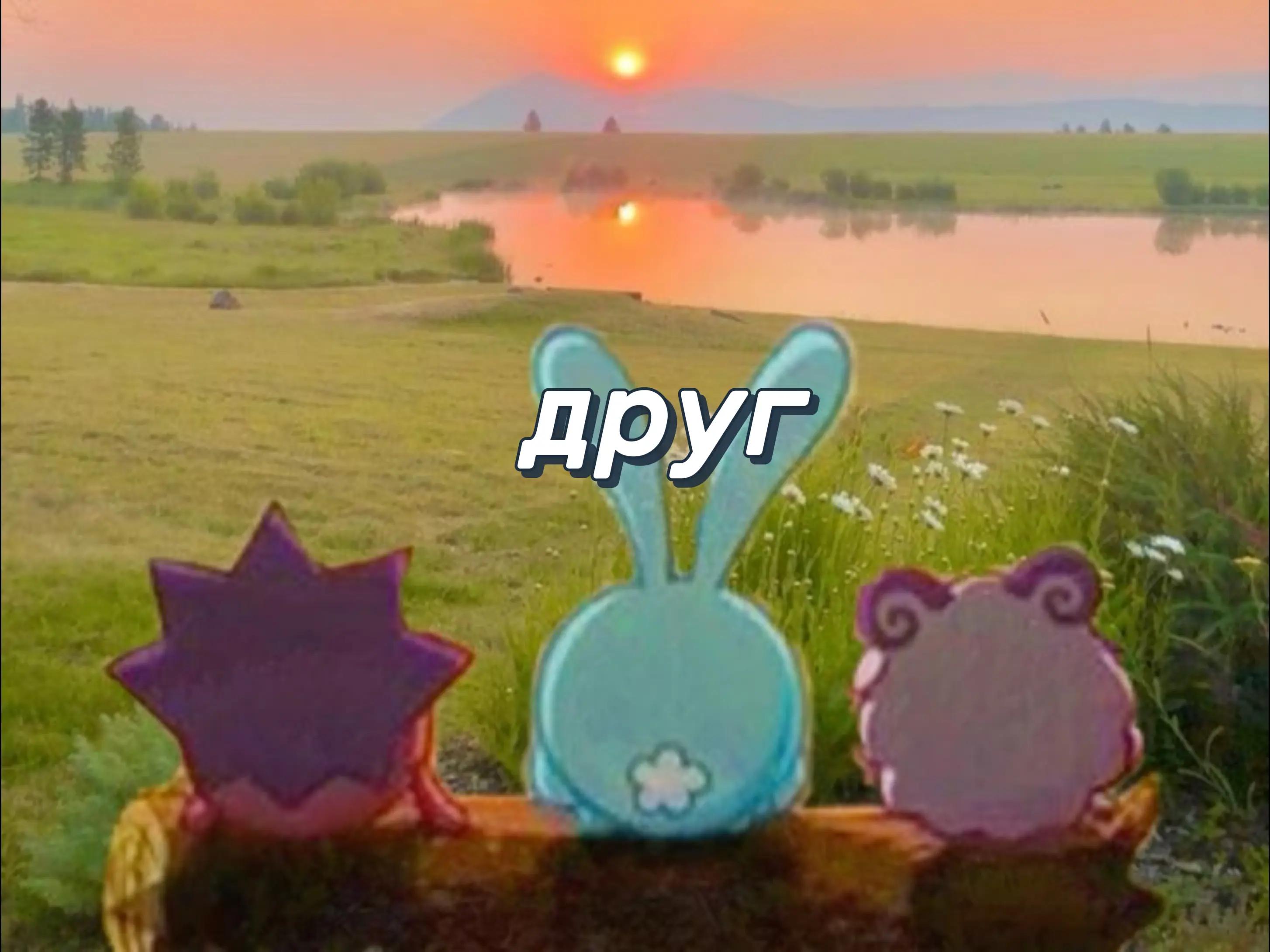 @(✿ ◕‿◕)𝕮𝖔ня