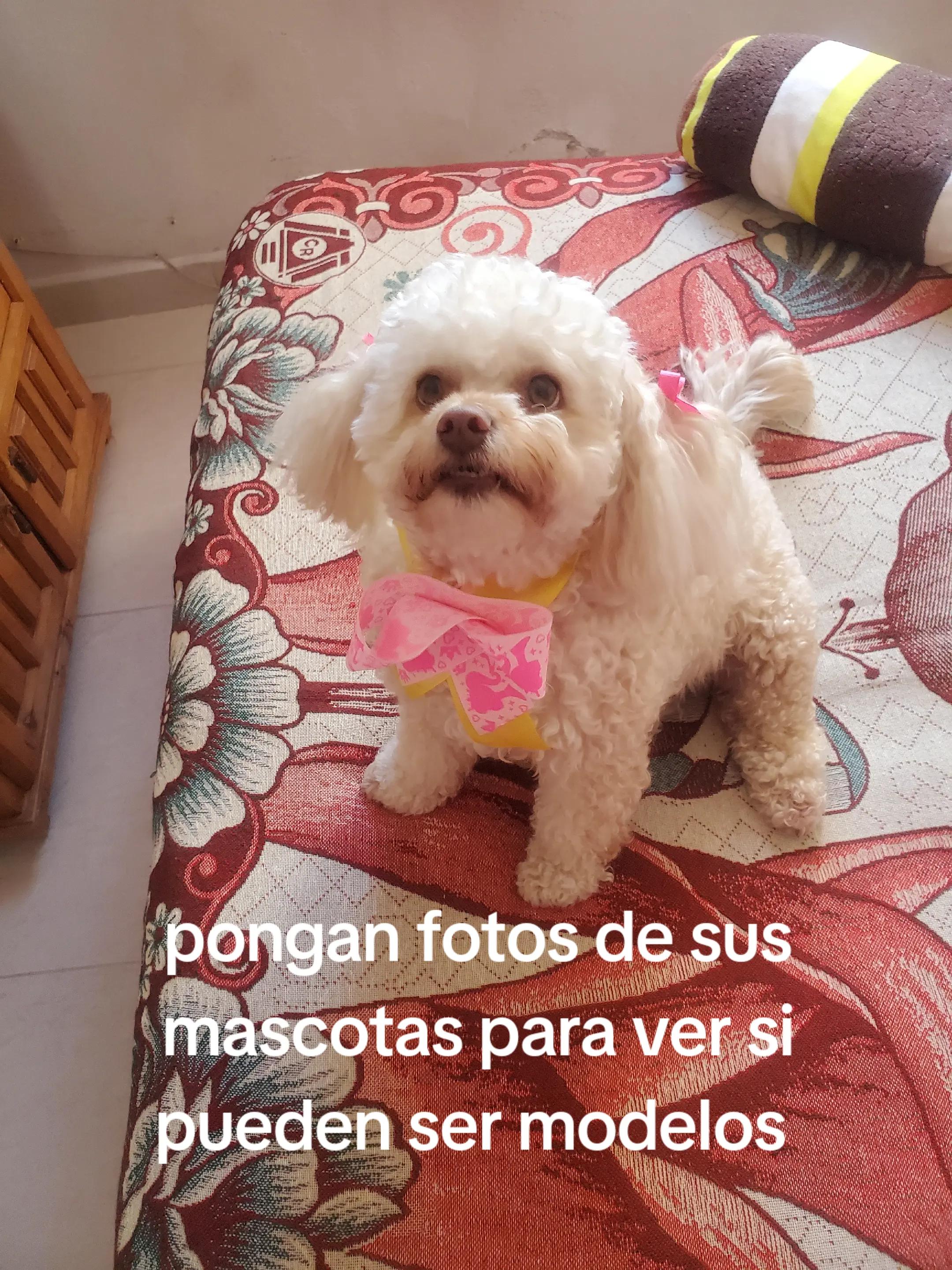 @varcan❤️
