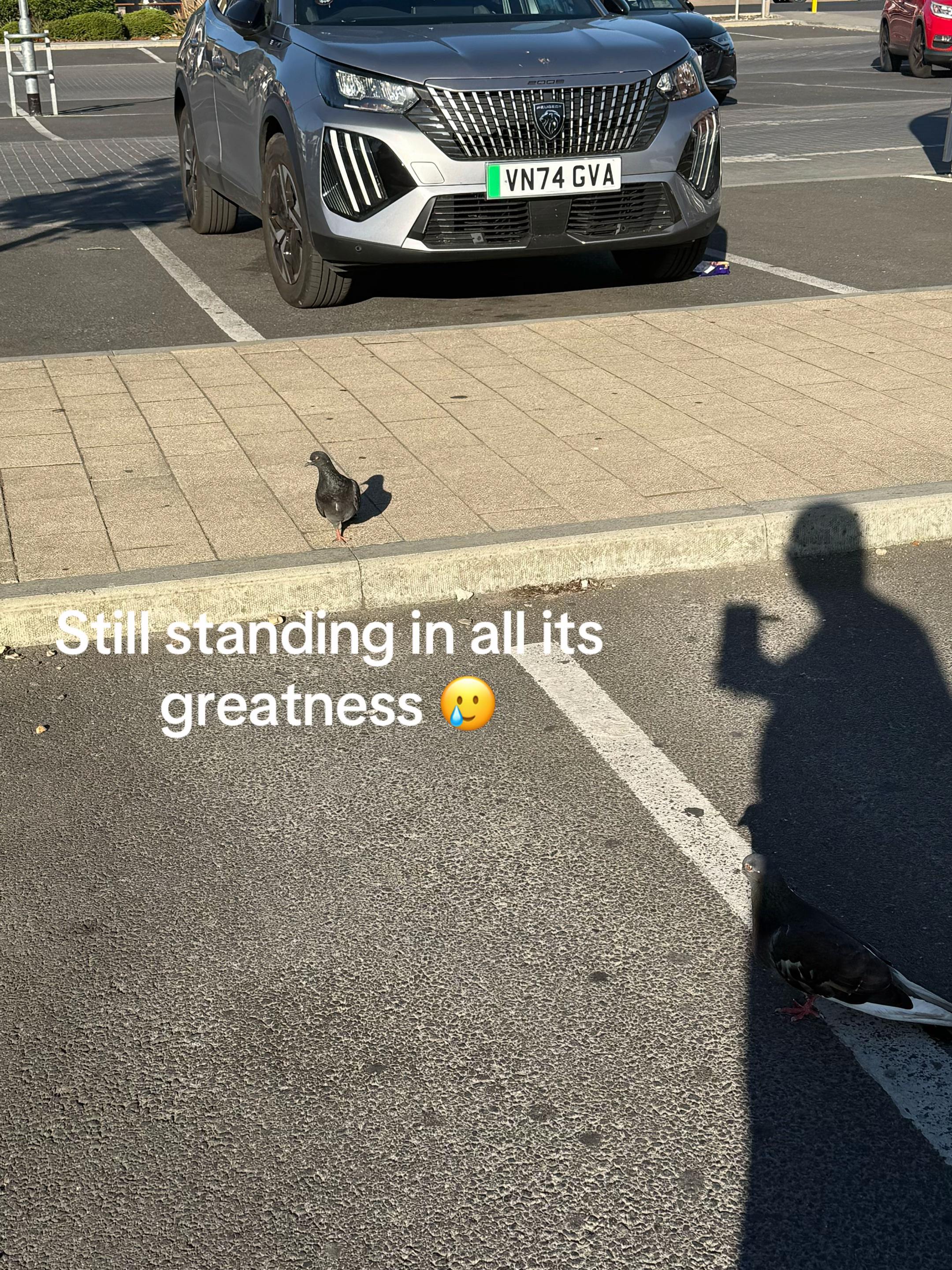 @user.mrjd1