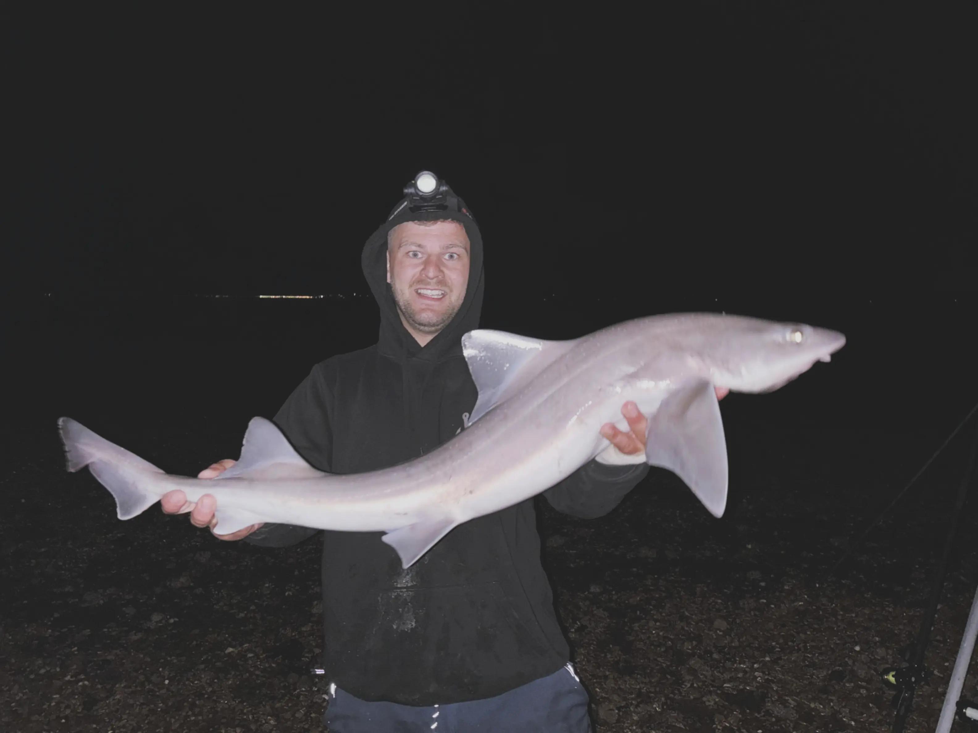 @dixonsdangling