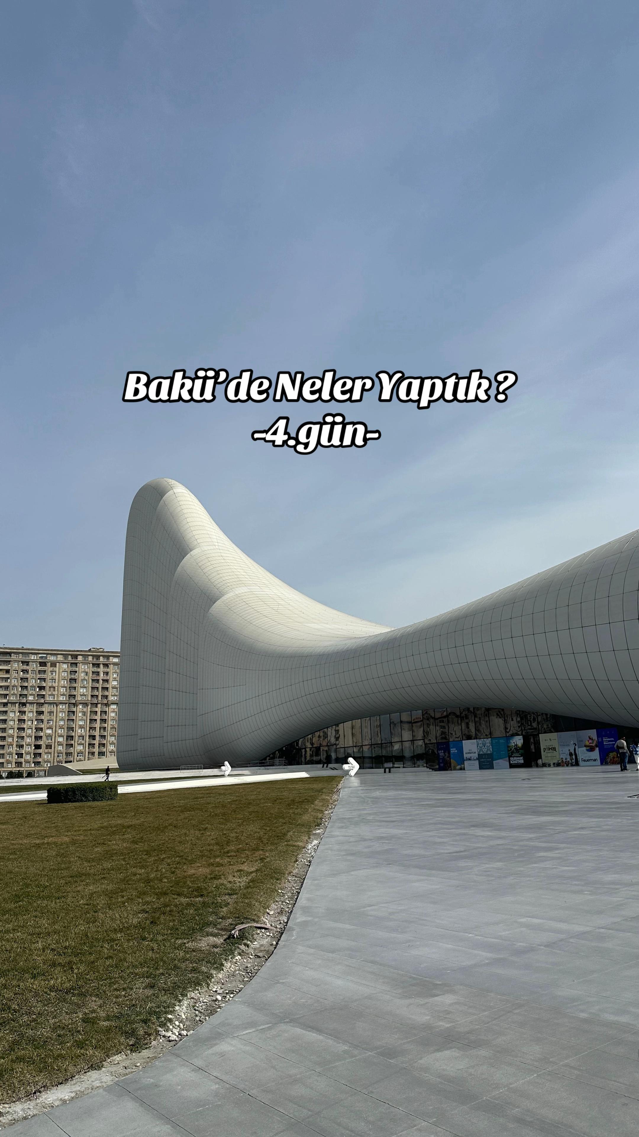 @İstanbul Kedisi