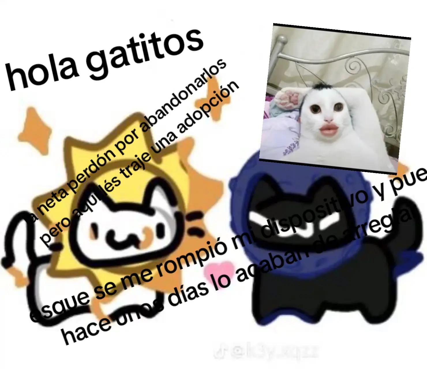 @⟨★†«gati juneor»†★⟩