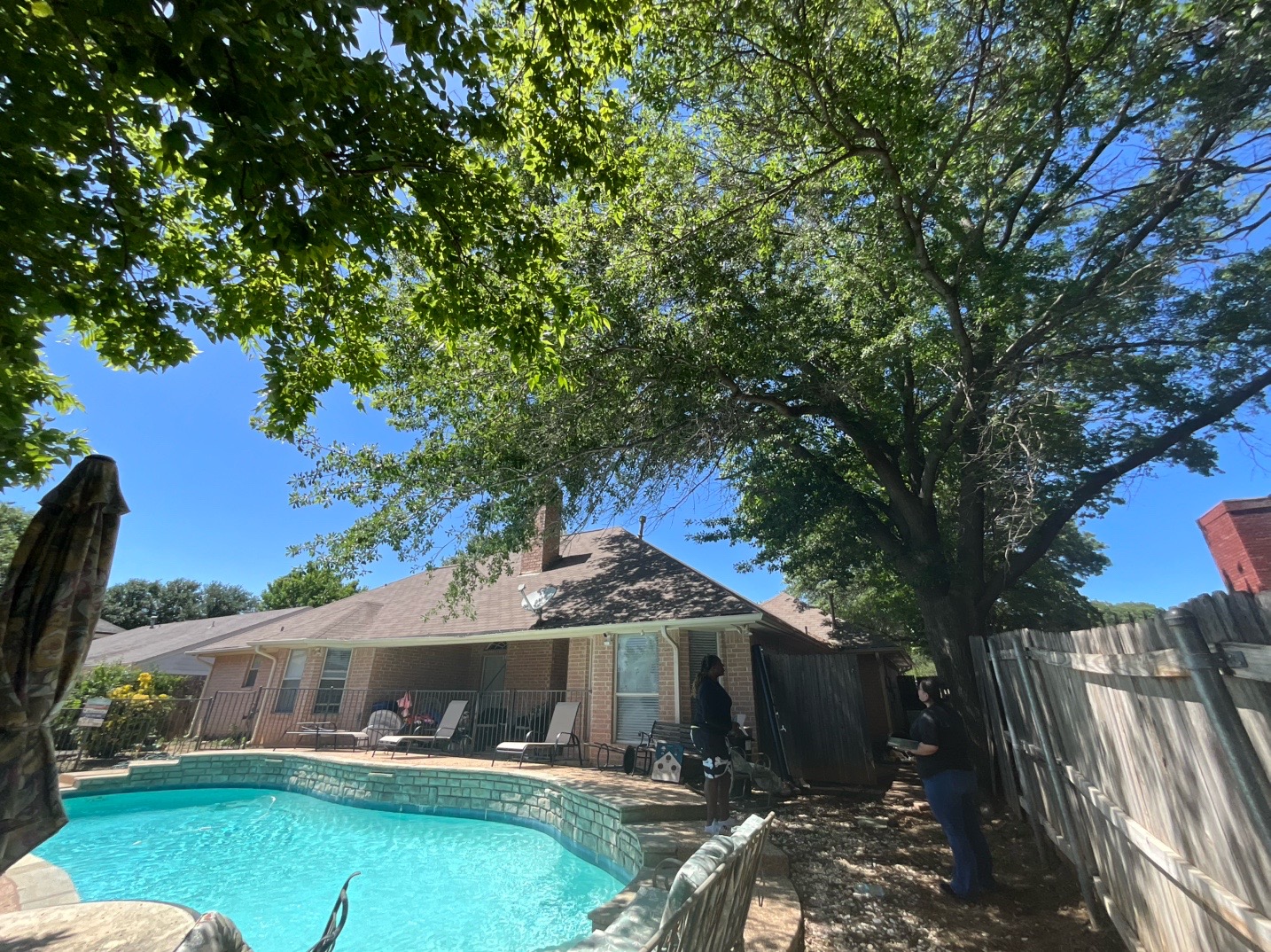 @Live Oak Tree Service