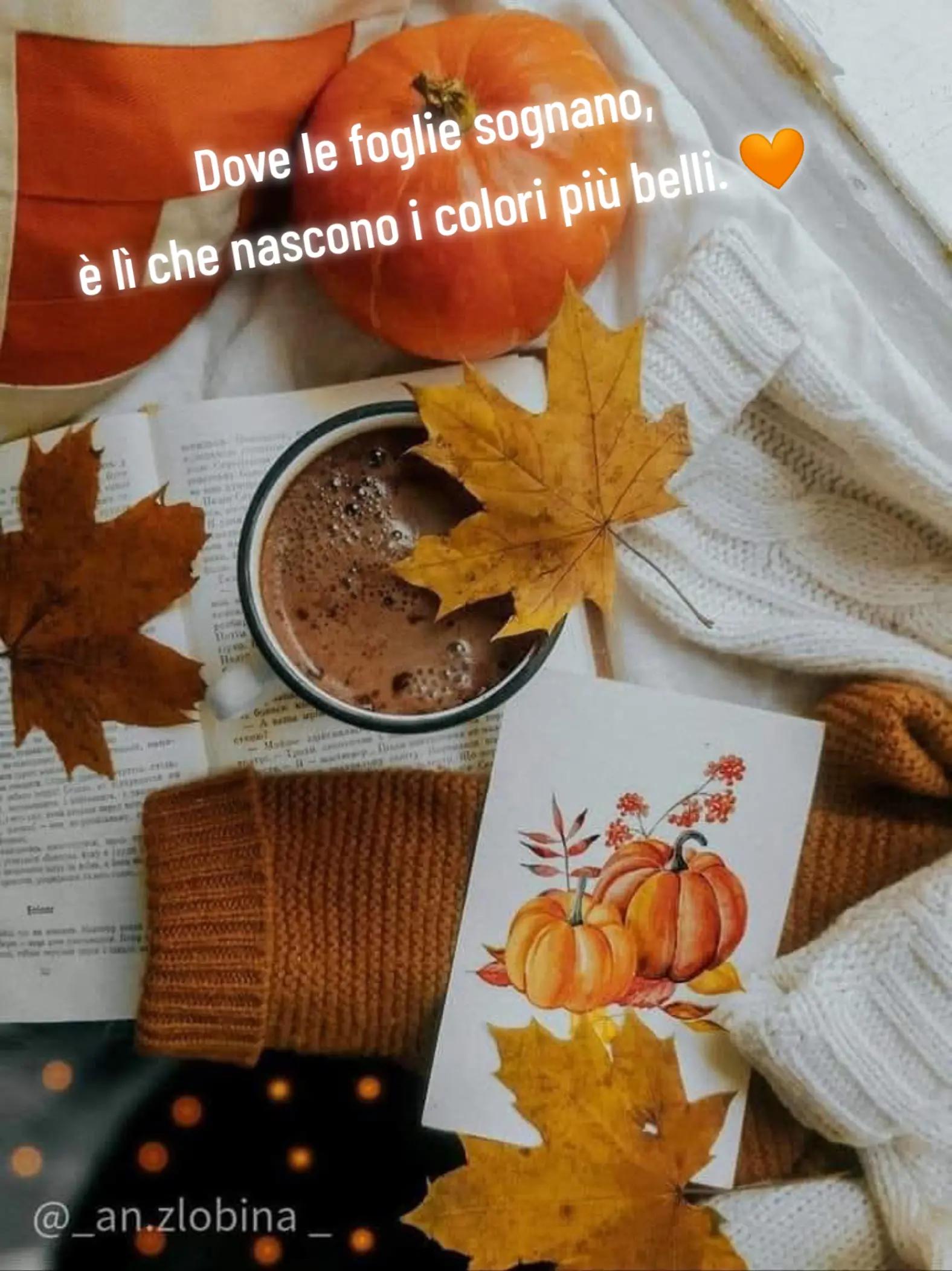 @Giovanna ❤️🌹🦋