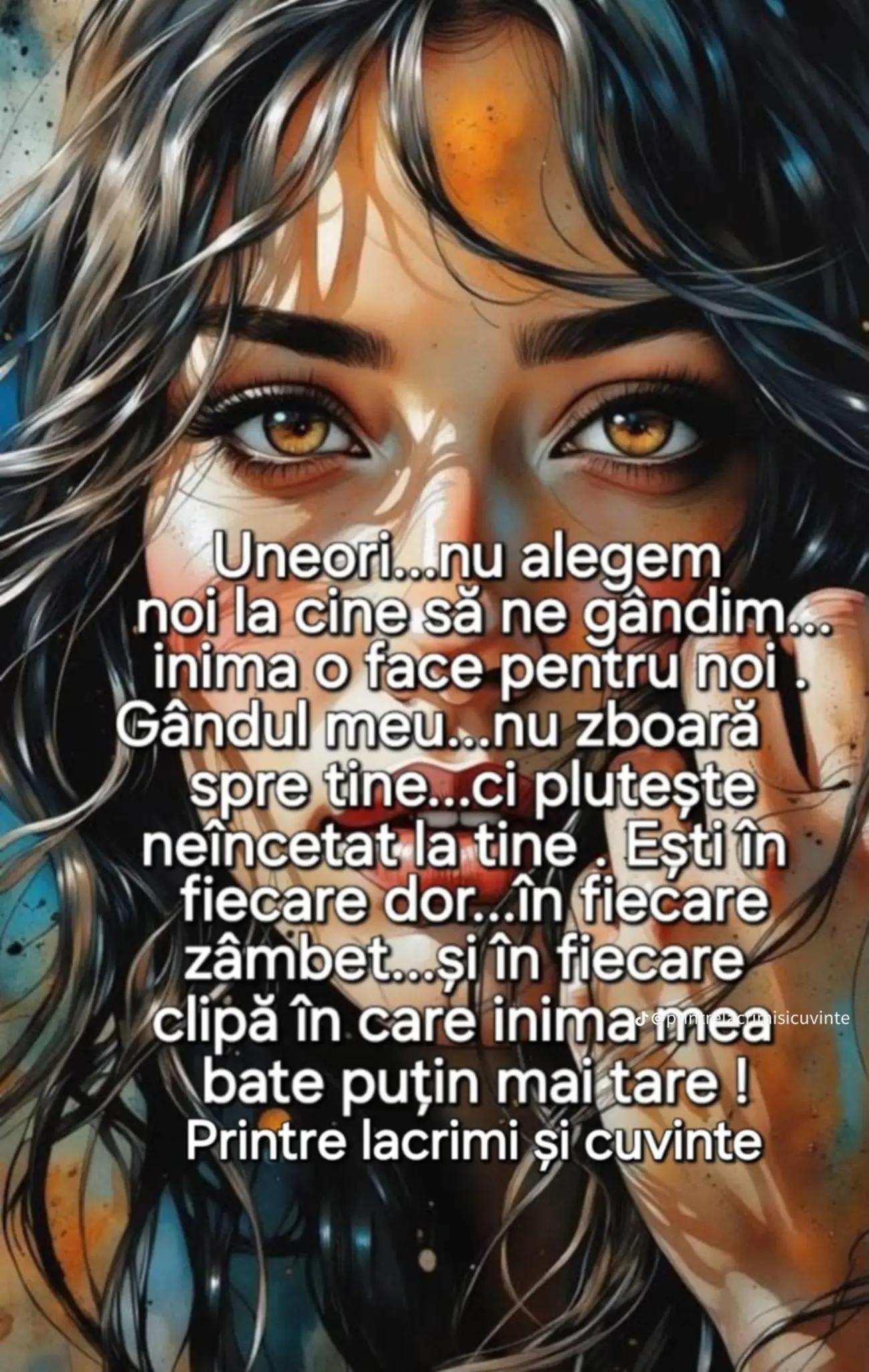 @silviapalade15